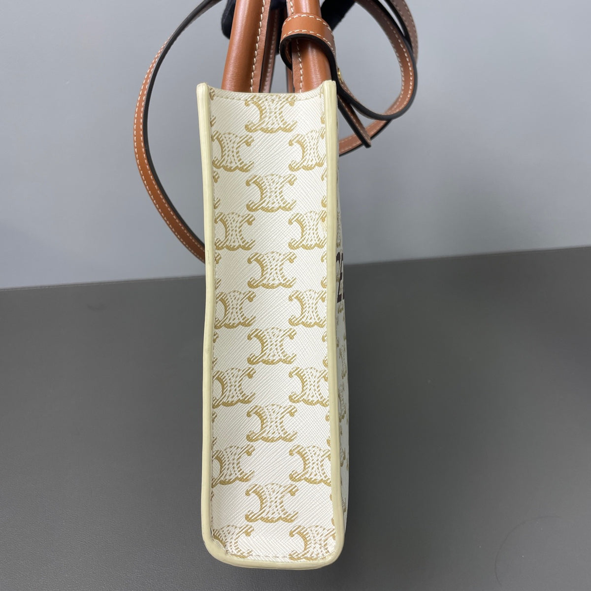 Celine - Mini Vertical Cabas in Triomphe Canvas - Cloth - Multicolour - (mini)