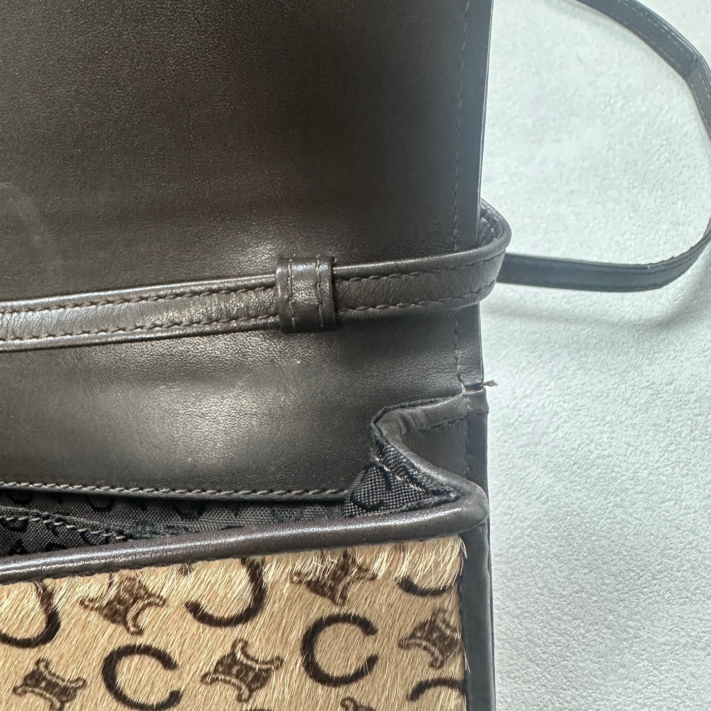 Celine - Other - Pony-style calfskin - Beige - (mini)