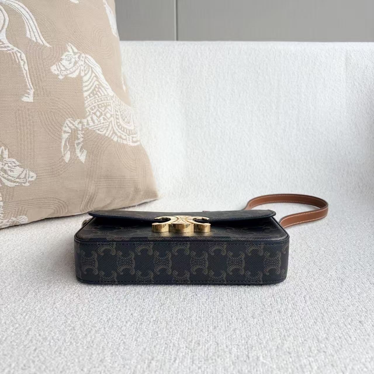 Celine - Other - Triomphe Canvas with leather trim - Brown with Gold-Tone Hardware - (mini)