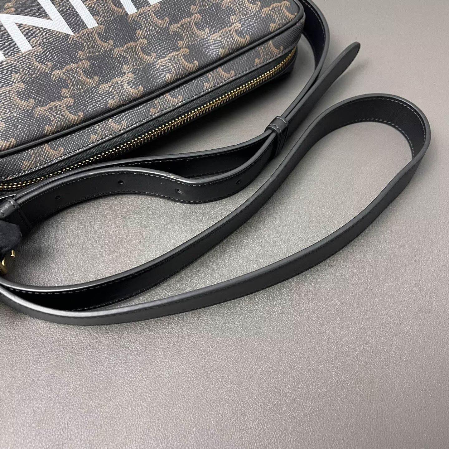 Celine - Triomphe Canvas Camera Bag - Canvas with leather trim - Brown - (Small)