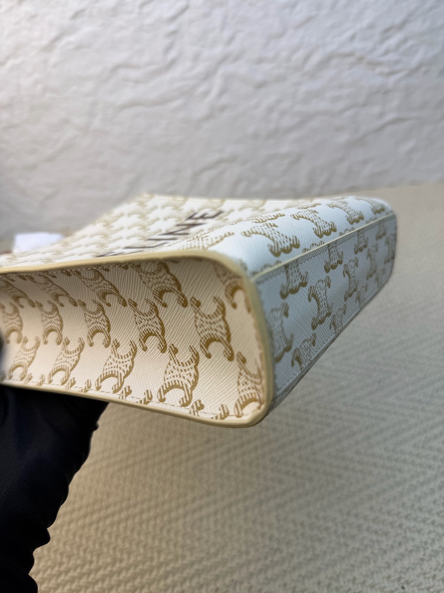Celine - Triomphe - Canvas - White - (mini)