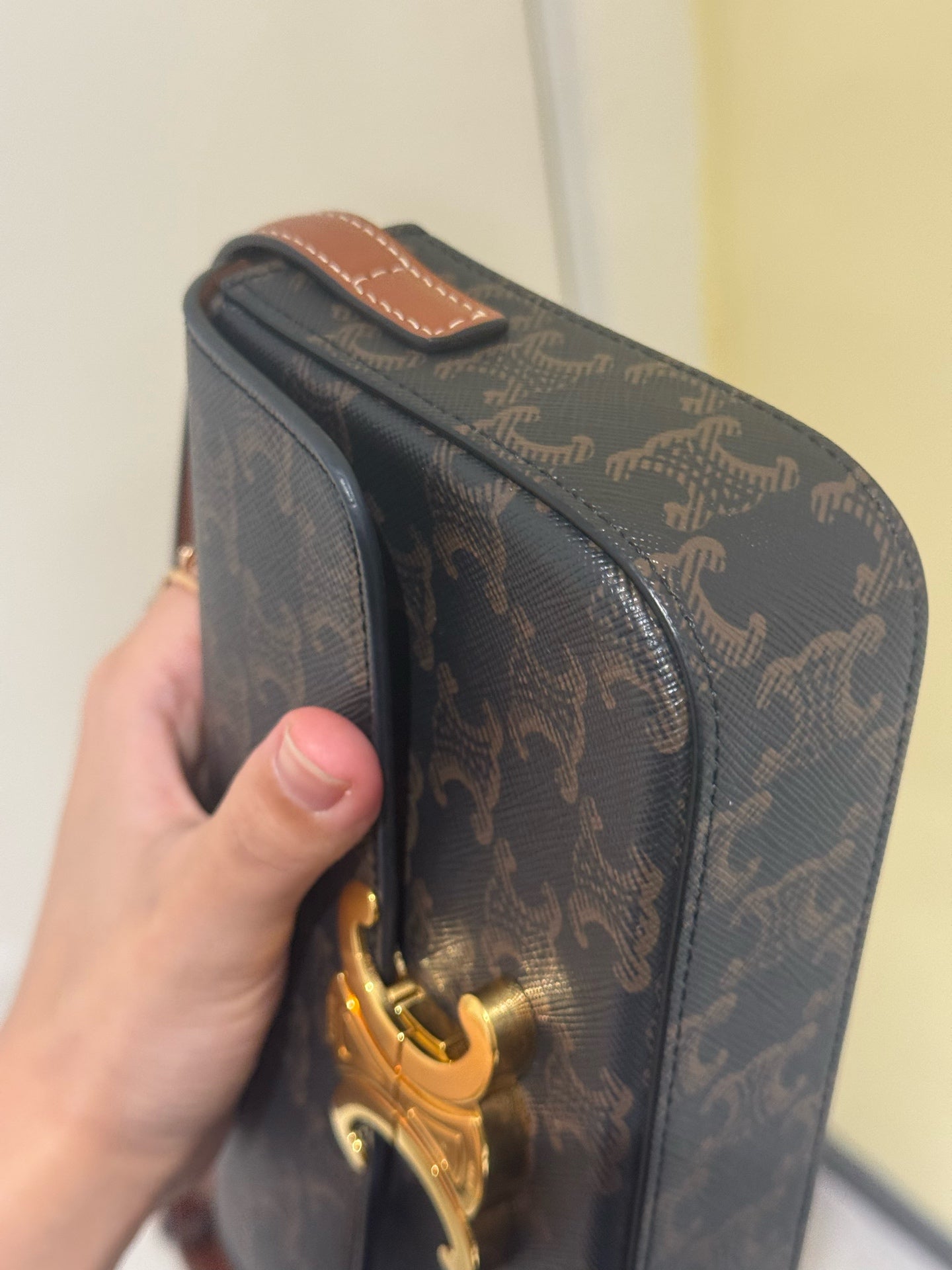 Celine - Triomphe - Leather - Brown - (mini)