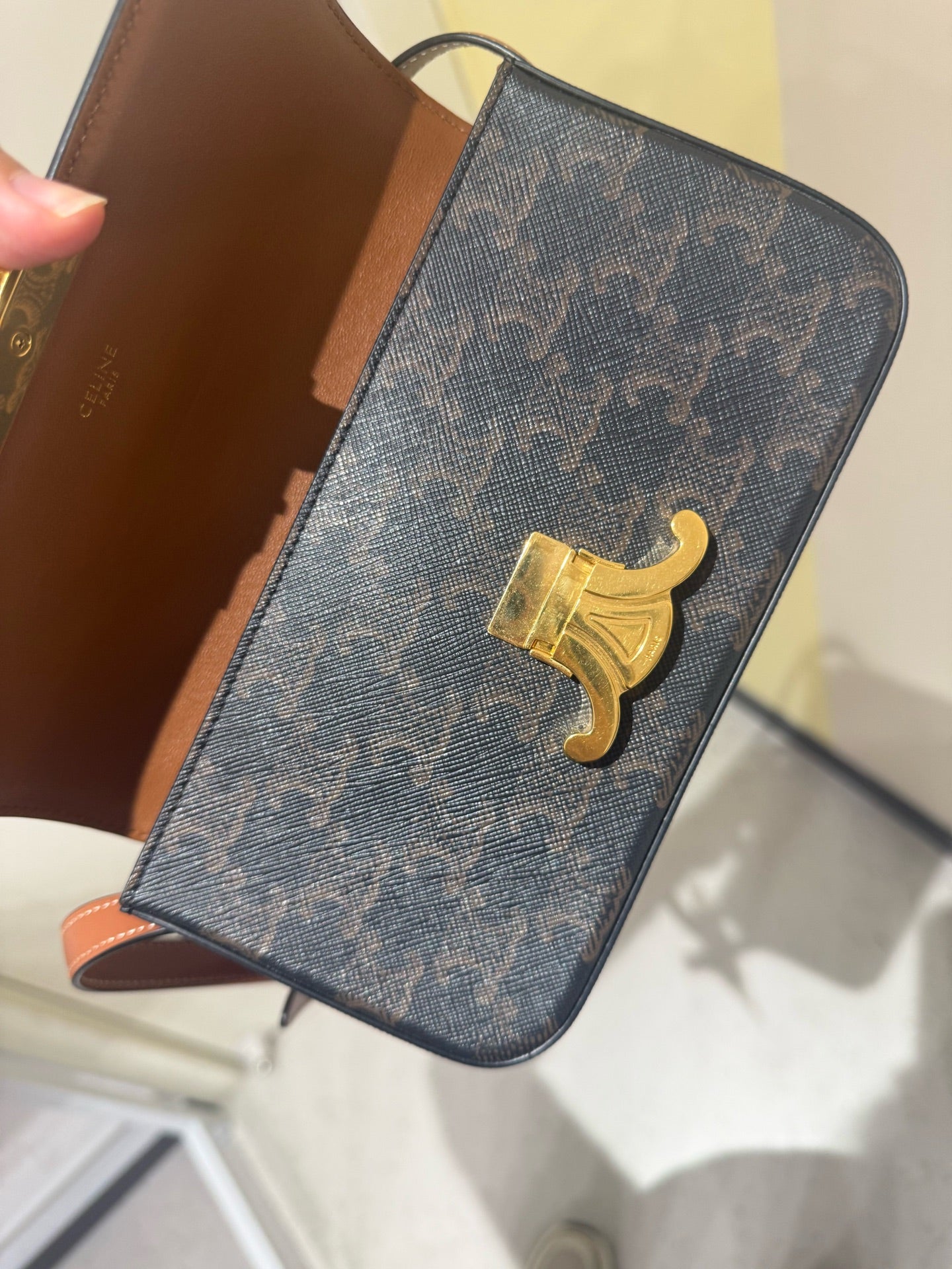 Celine - Triomphe - Leather - Brown - (mini)