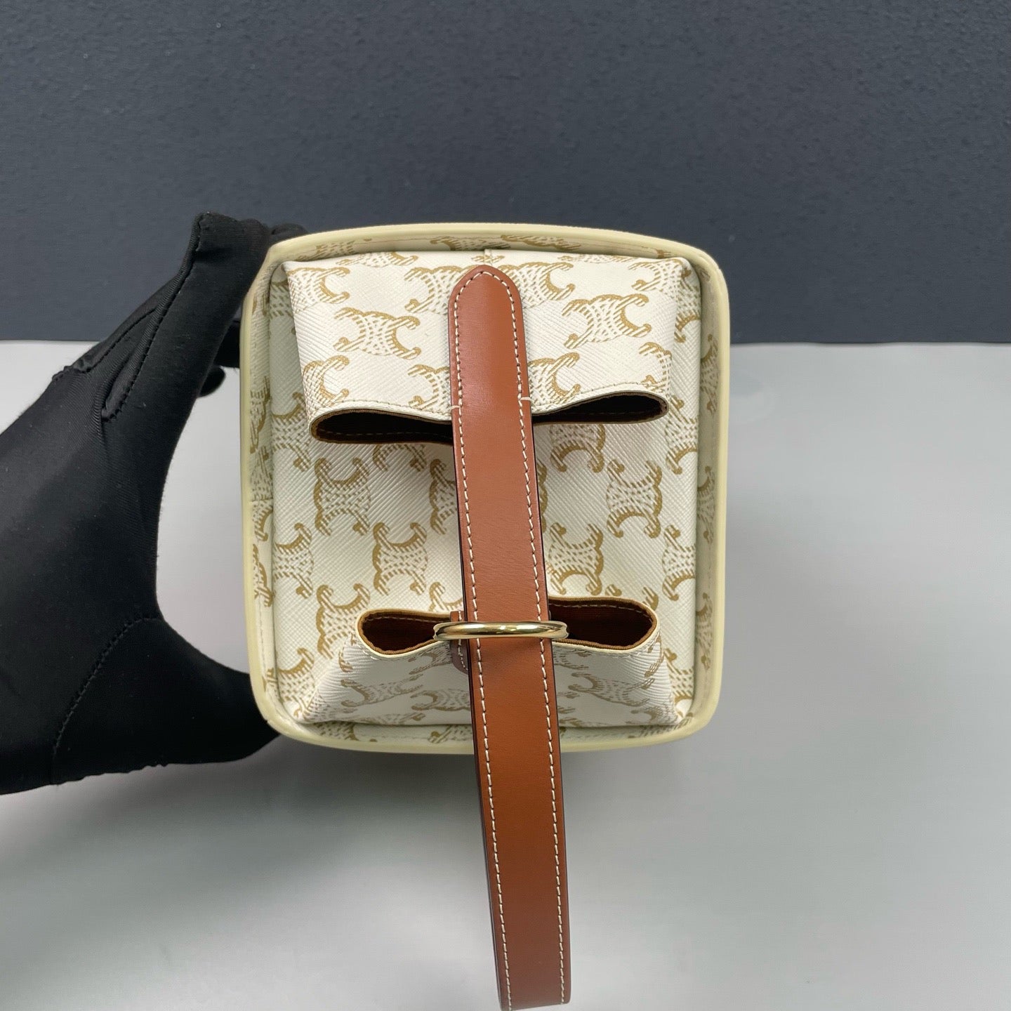 Celine - Triomphe Strap Box - Coated canvas with leather trim - White and Brown - (mini)
