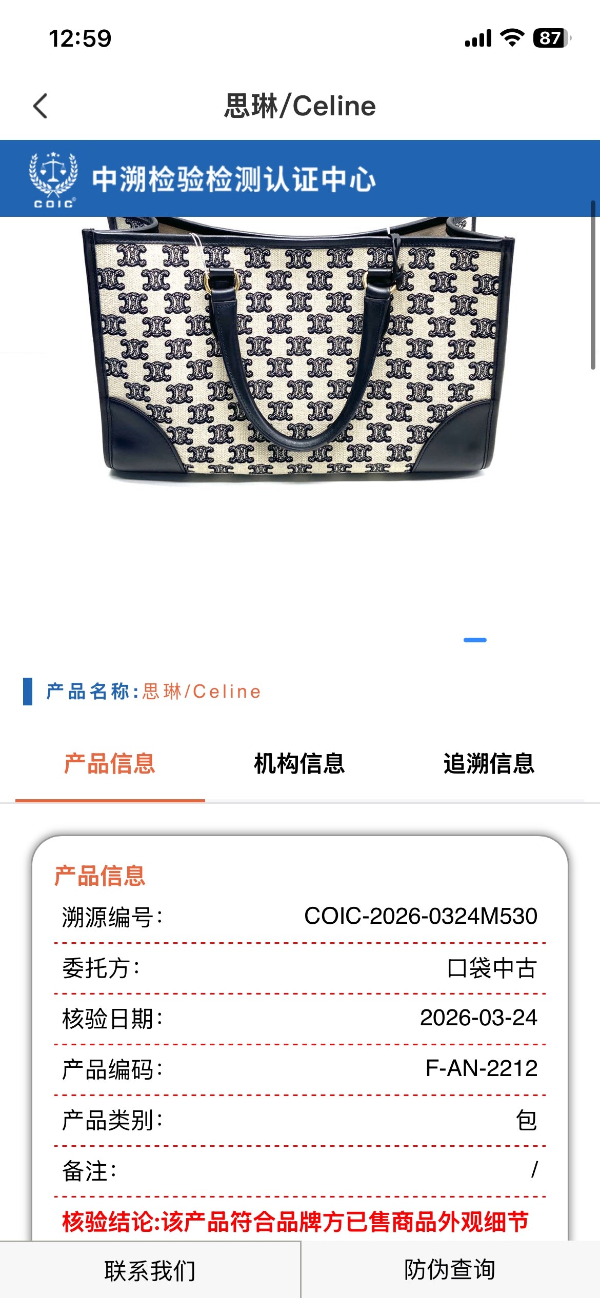 Celine - Triomphe Tote - Cloth - Multicolour - (medium)