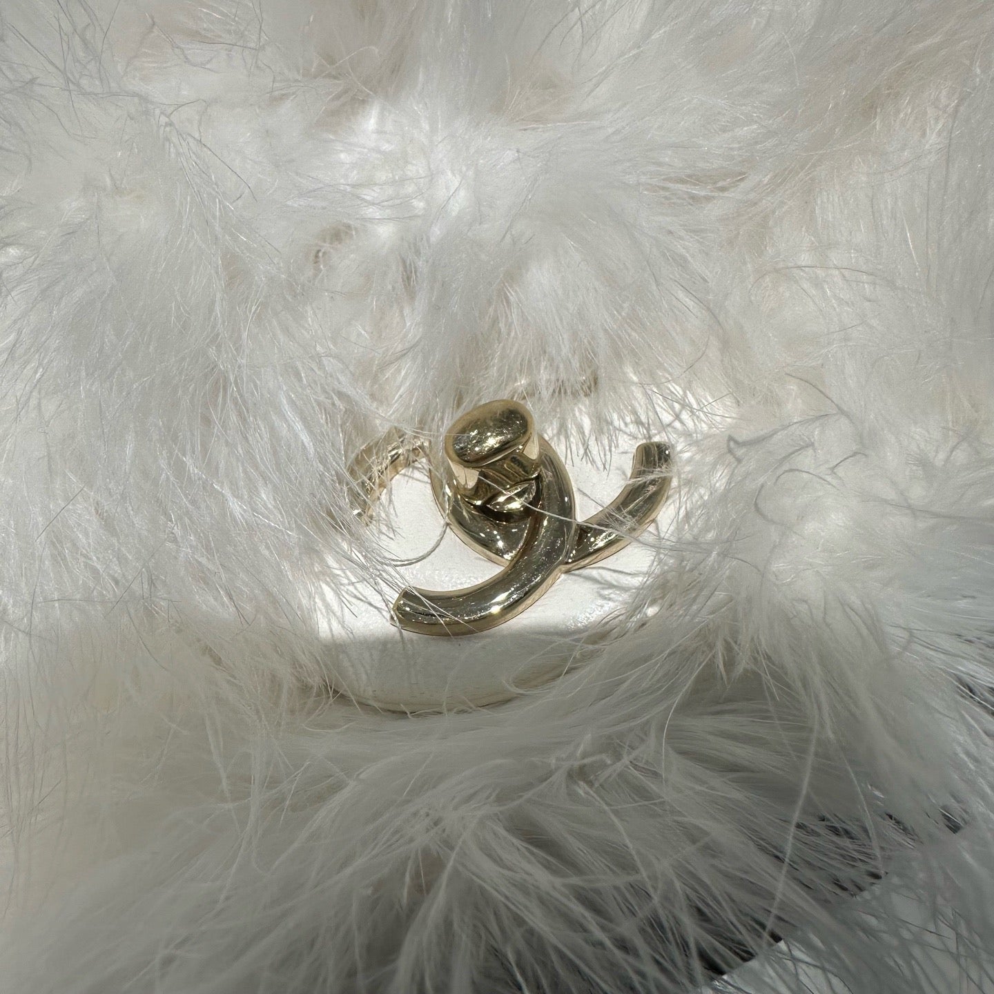Chanel - Chanel 19 Bag - Exotic leathers - Ostrich - White - (mini)