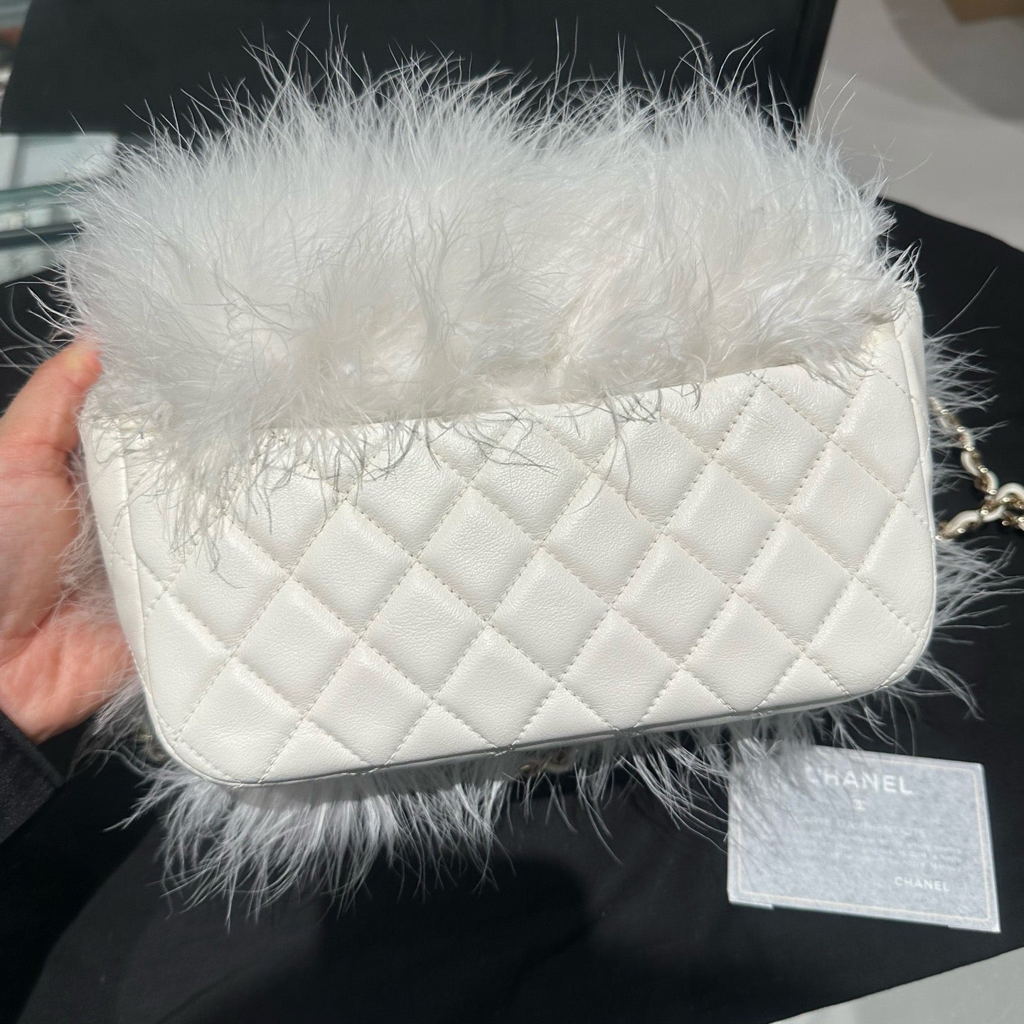 Chanel - Chanel 19 Bag - Exotic leathers - Ostrich - White - (mini)