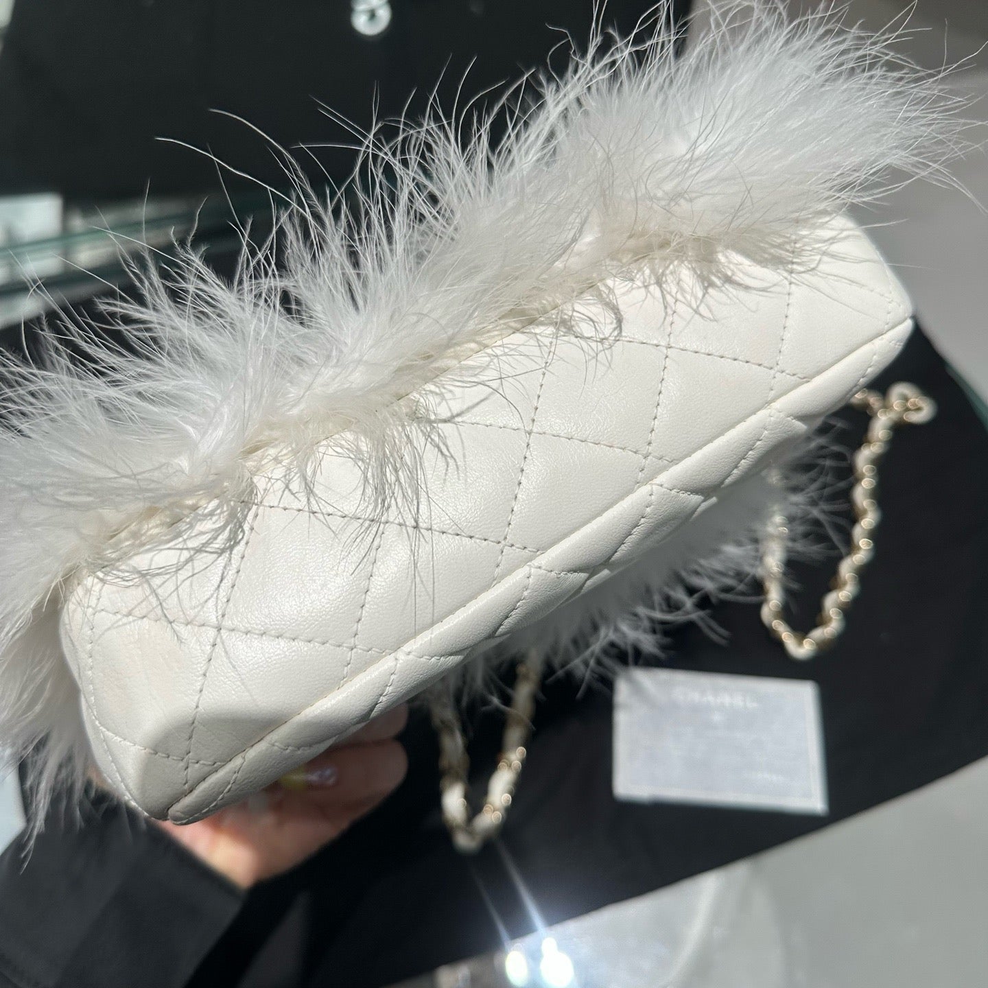 Chanel - Chanel 19 Bag - Exotic leathers - Ostrich - White - (mini)