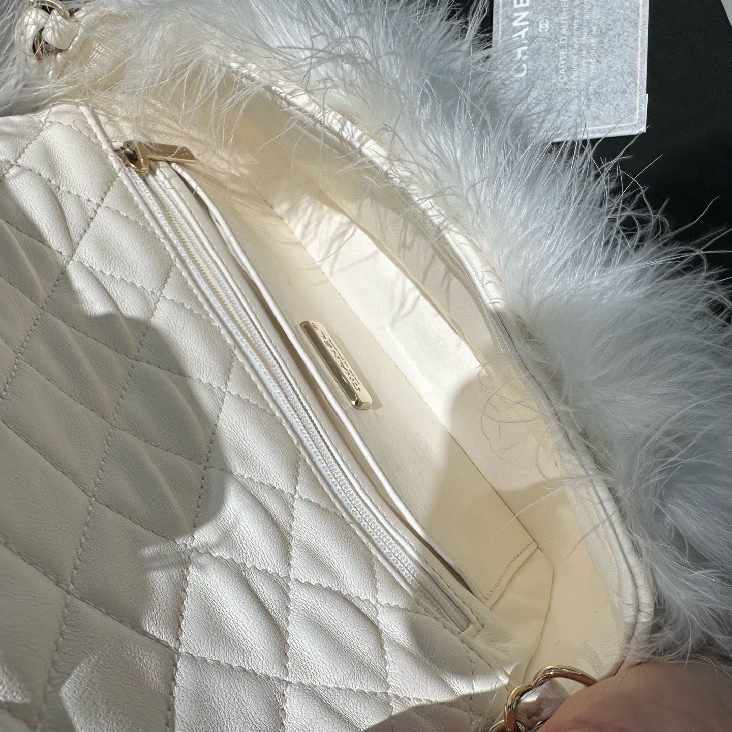 Chanel - Chanel 19 Bag - Exotic leathers - Ostrich - White - (mini)