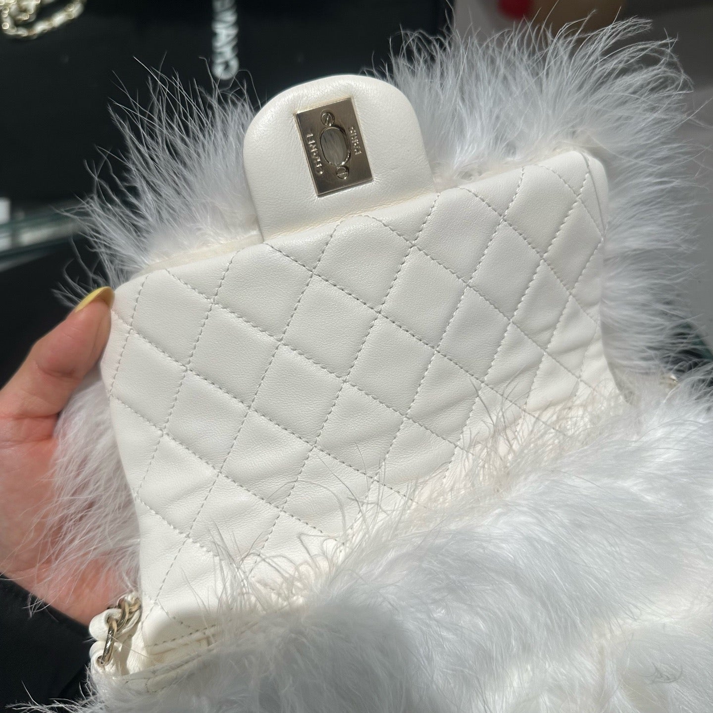Chanel - Chanel 19 Bag - Exotic leathers - Ostrich - White - (mini)