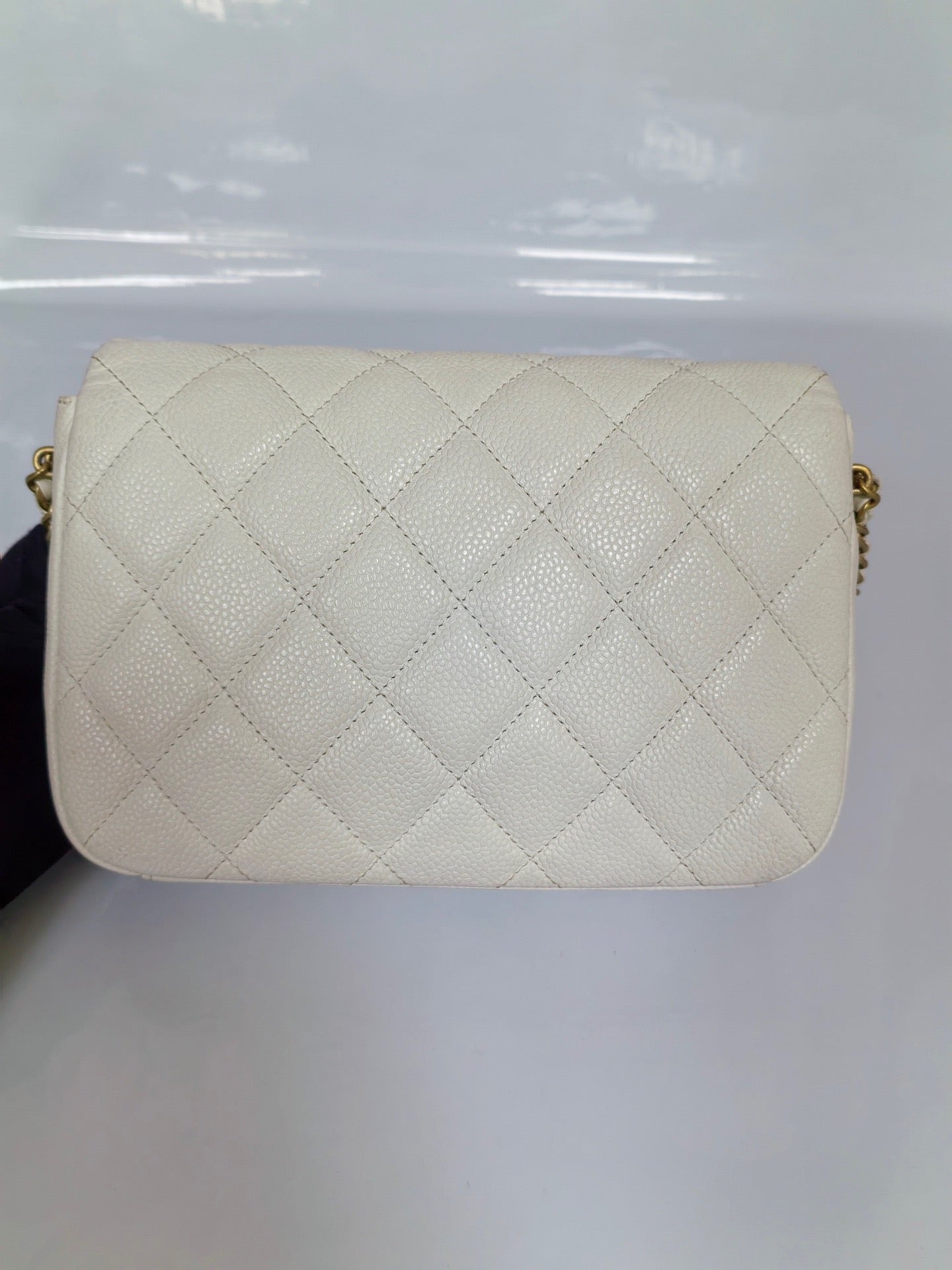 Chanel - Chanel 19 - Leather - White - (mini)