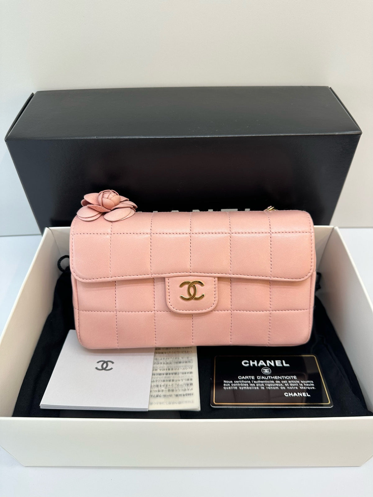 Chanel - Classic Flap Mini - Leather - Pink - (mini)