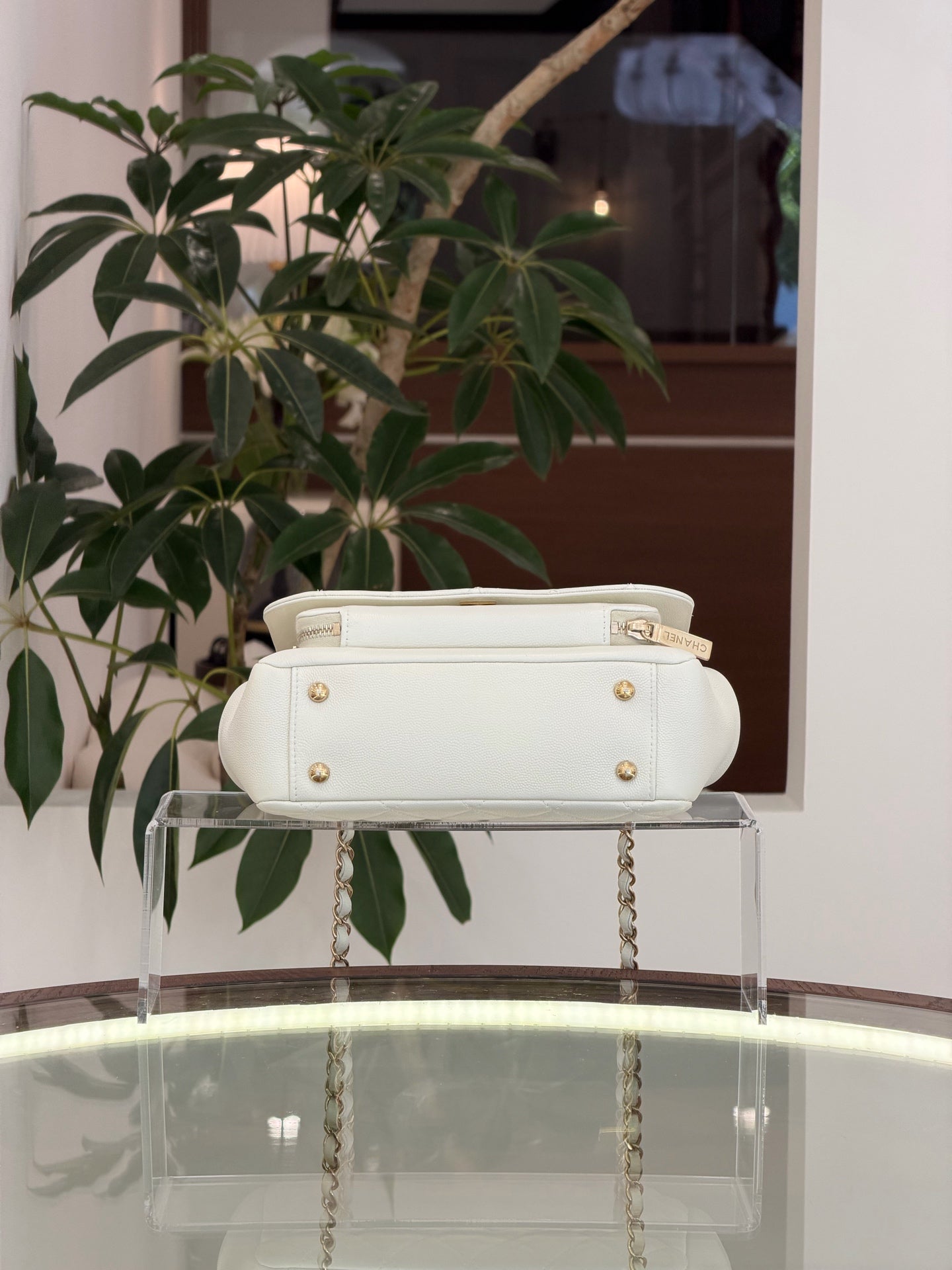 Chanel - Other - Leather - White - (small)