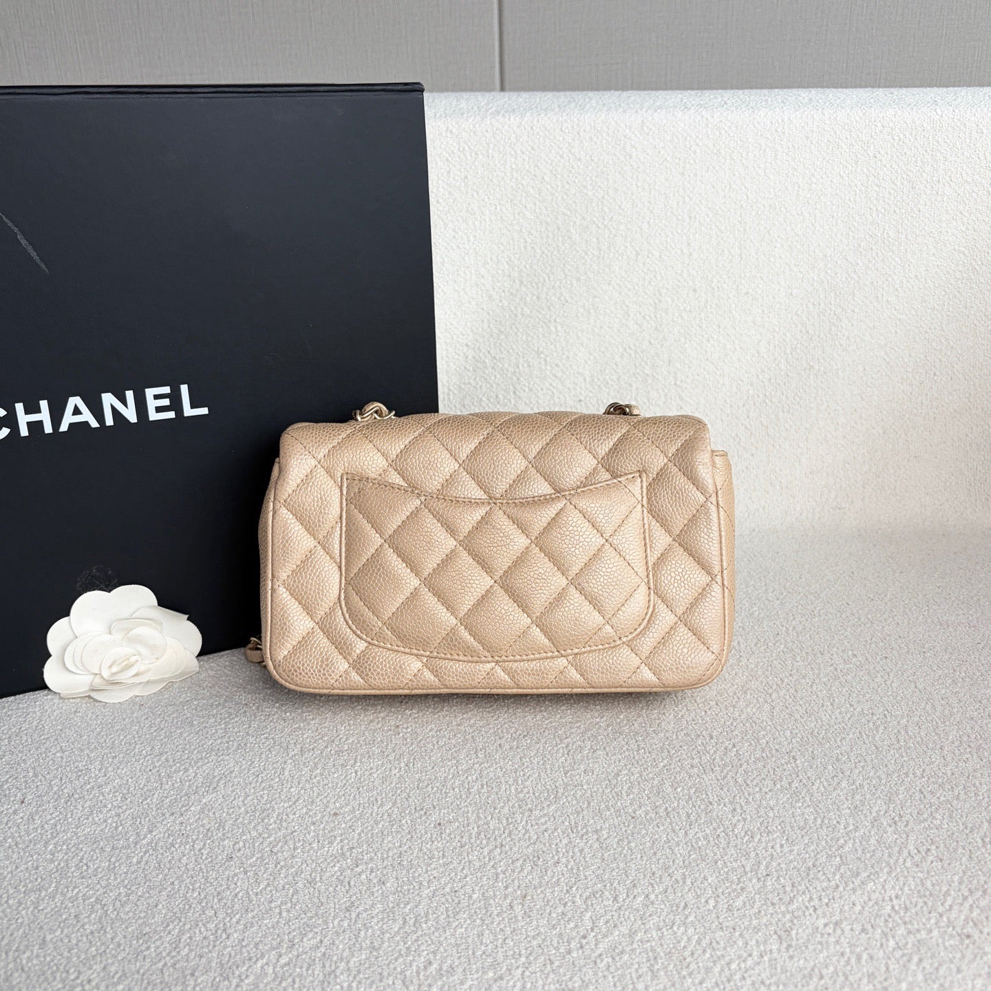 Chanel - Timeless/Classique - Leather - Beige - (mini)
