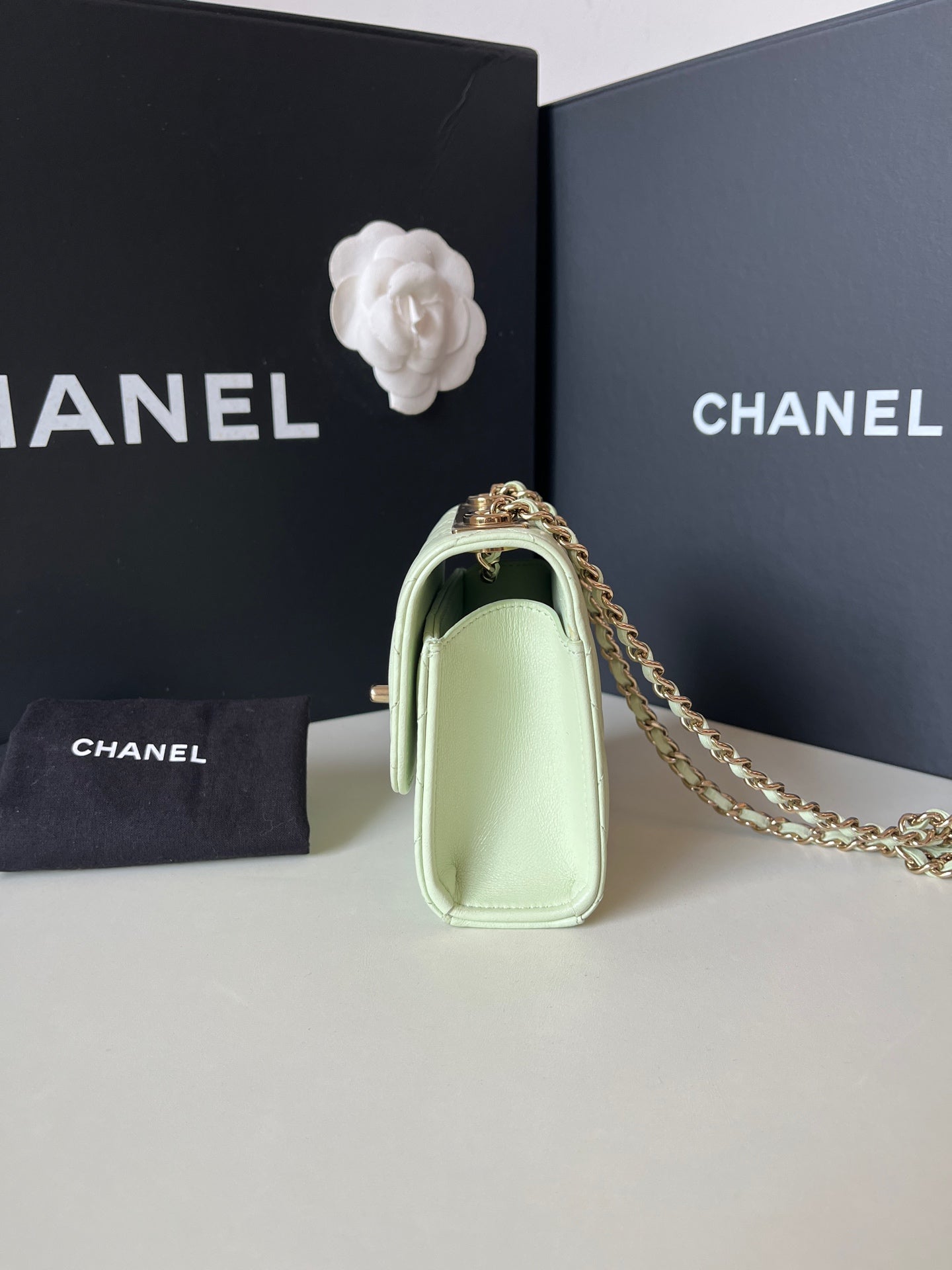 Chanel - trendycc mini - Leather - Green - (mini)