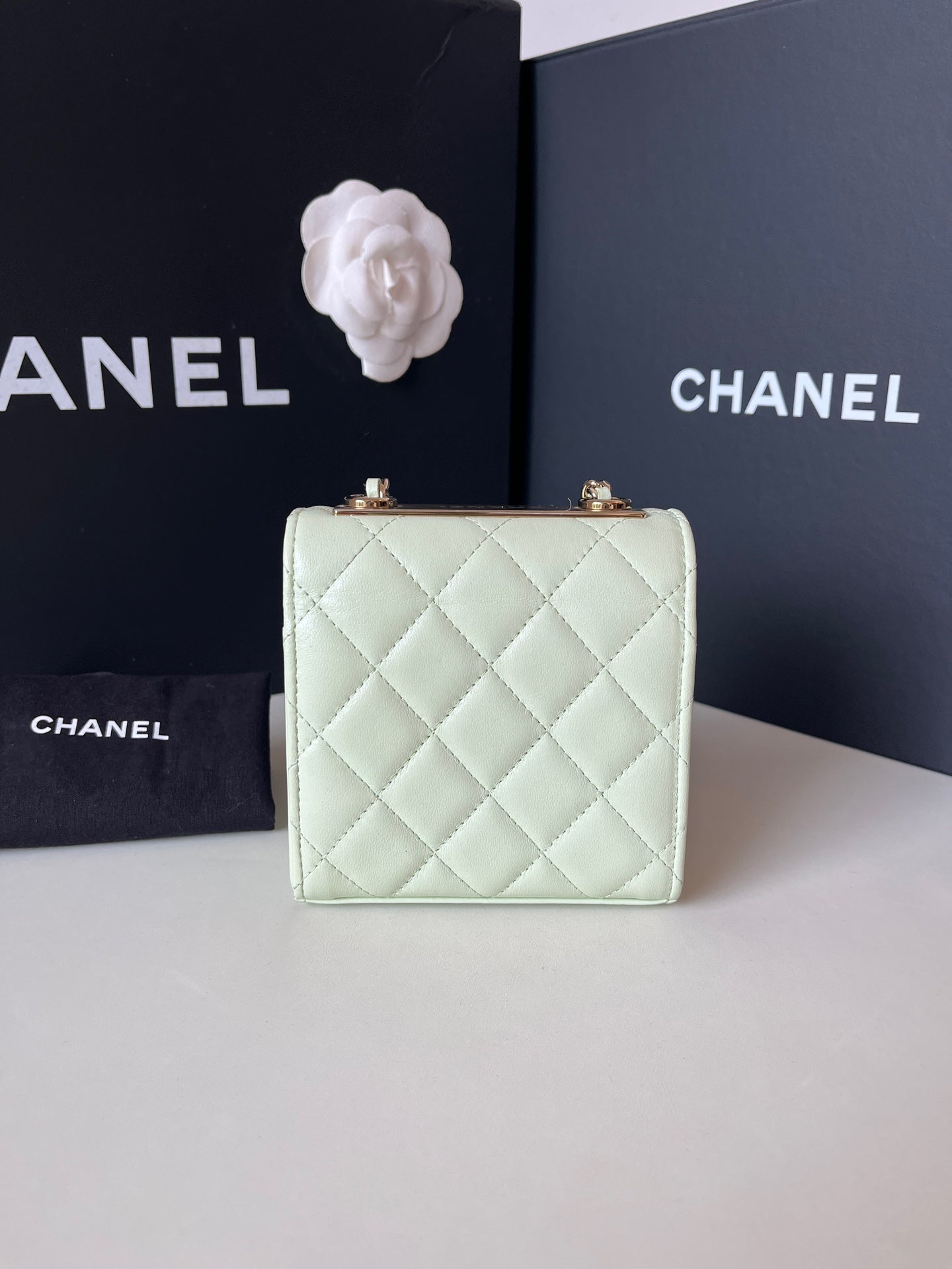 Chanel - trendycc mini - Leather - Green - (mini)
