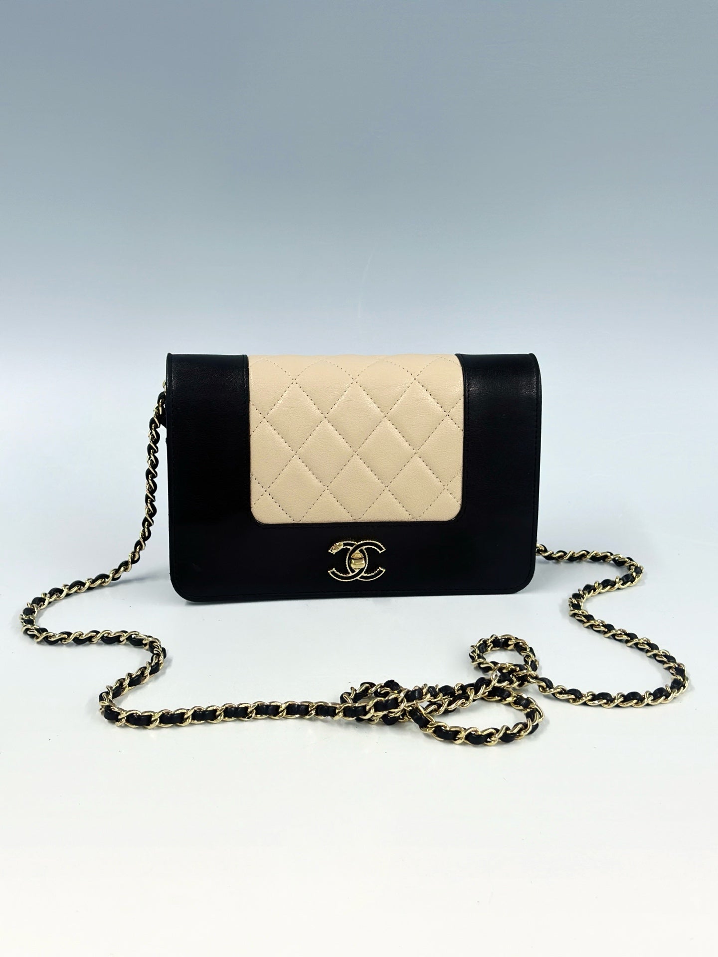 Chanel - Wallet on Chain - Leather - Multicolour - (mini)