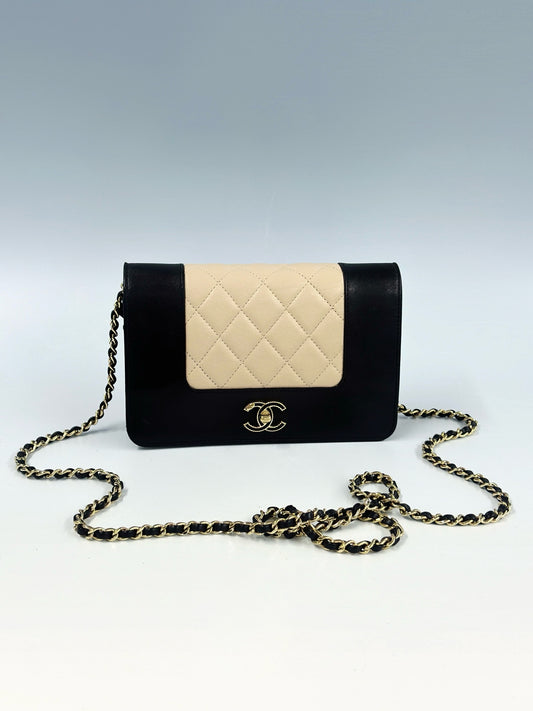 Chanel - Wallet on Chain - Leather - Multicolour - (mini)
