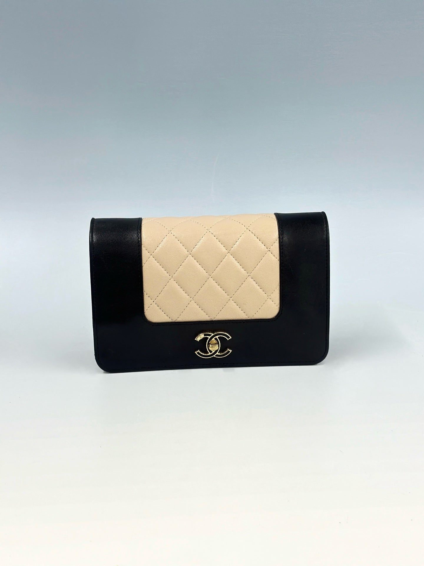 Chanel - Wallet on Chain - Leather - Multicolour - (mini)