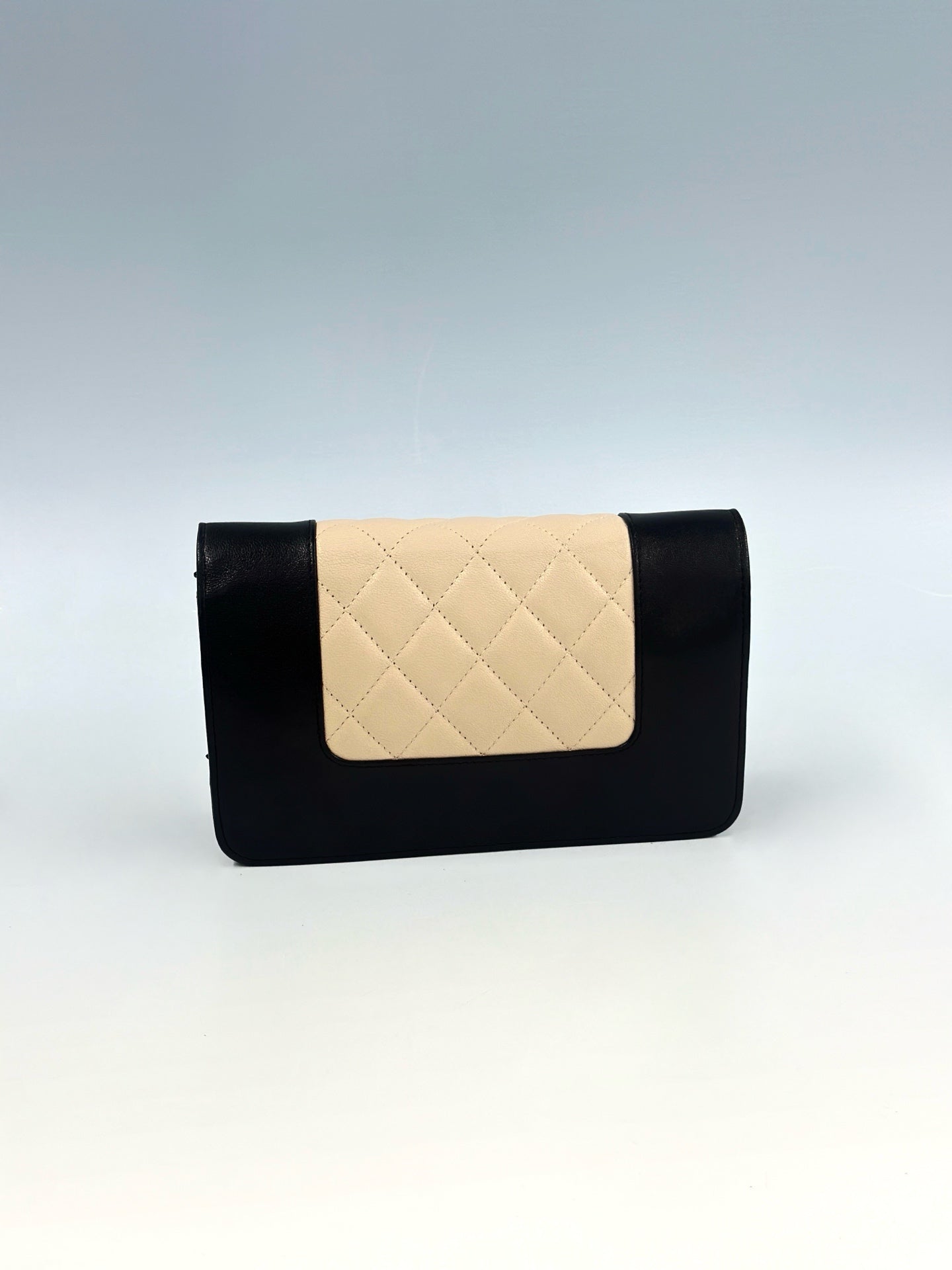 Chanel - Wallet on Chain - Leather - Multicolour - (mini)