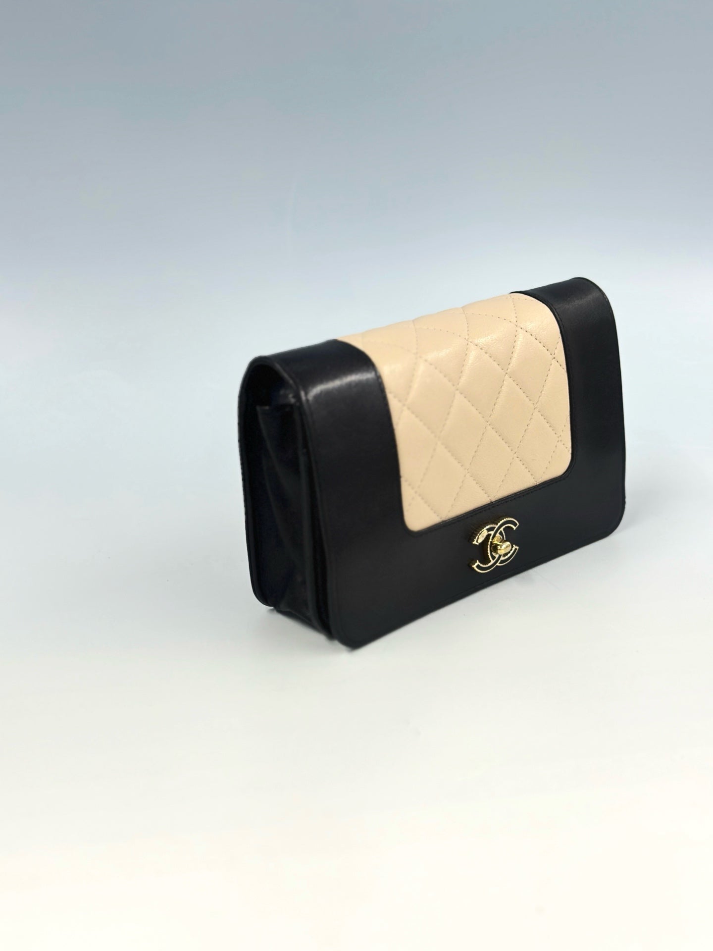 Chanel - Wallet on Chain - Leather - Multicolour - (mini)
