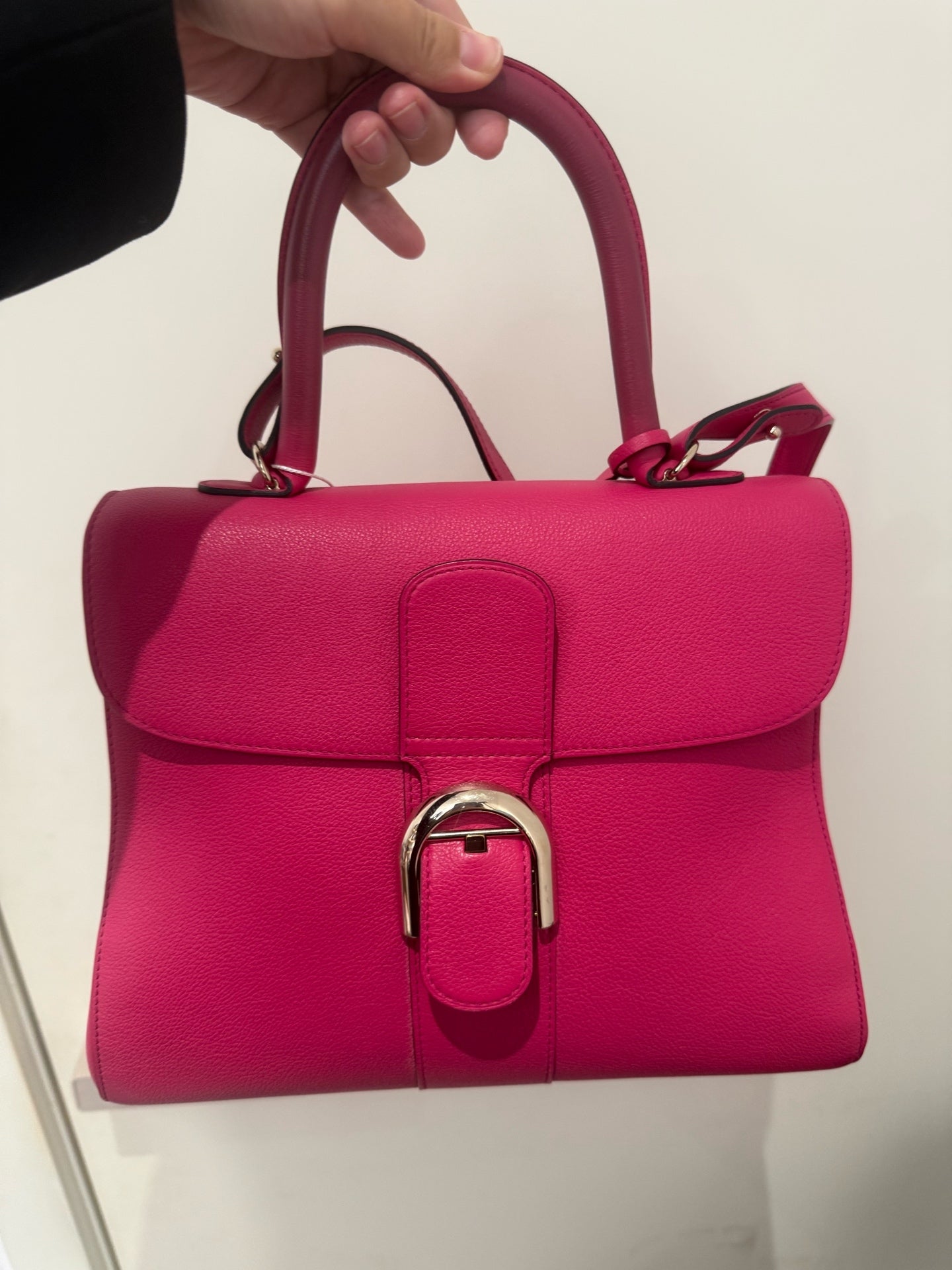 Delvaux - Brillant - Leather - Pink - (small)