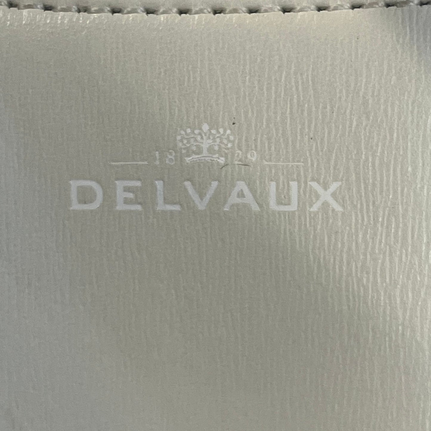 Delvaux - Brillant - Leather - White - (mini)
