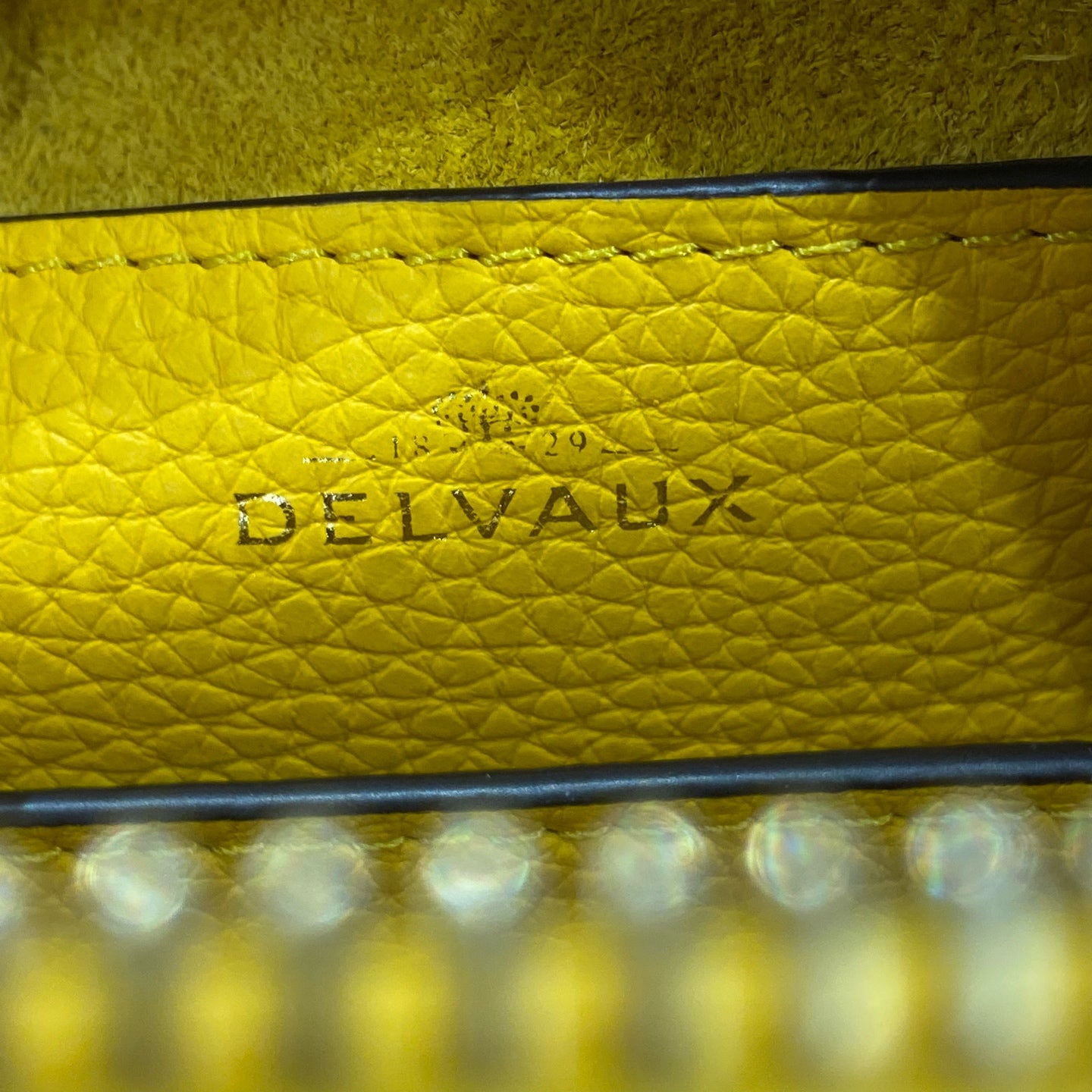 Delvaux - Cool Box - Grained leather - Yellow - (Mini)