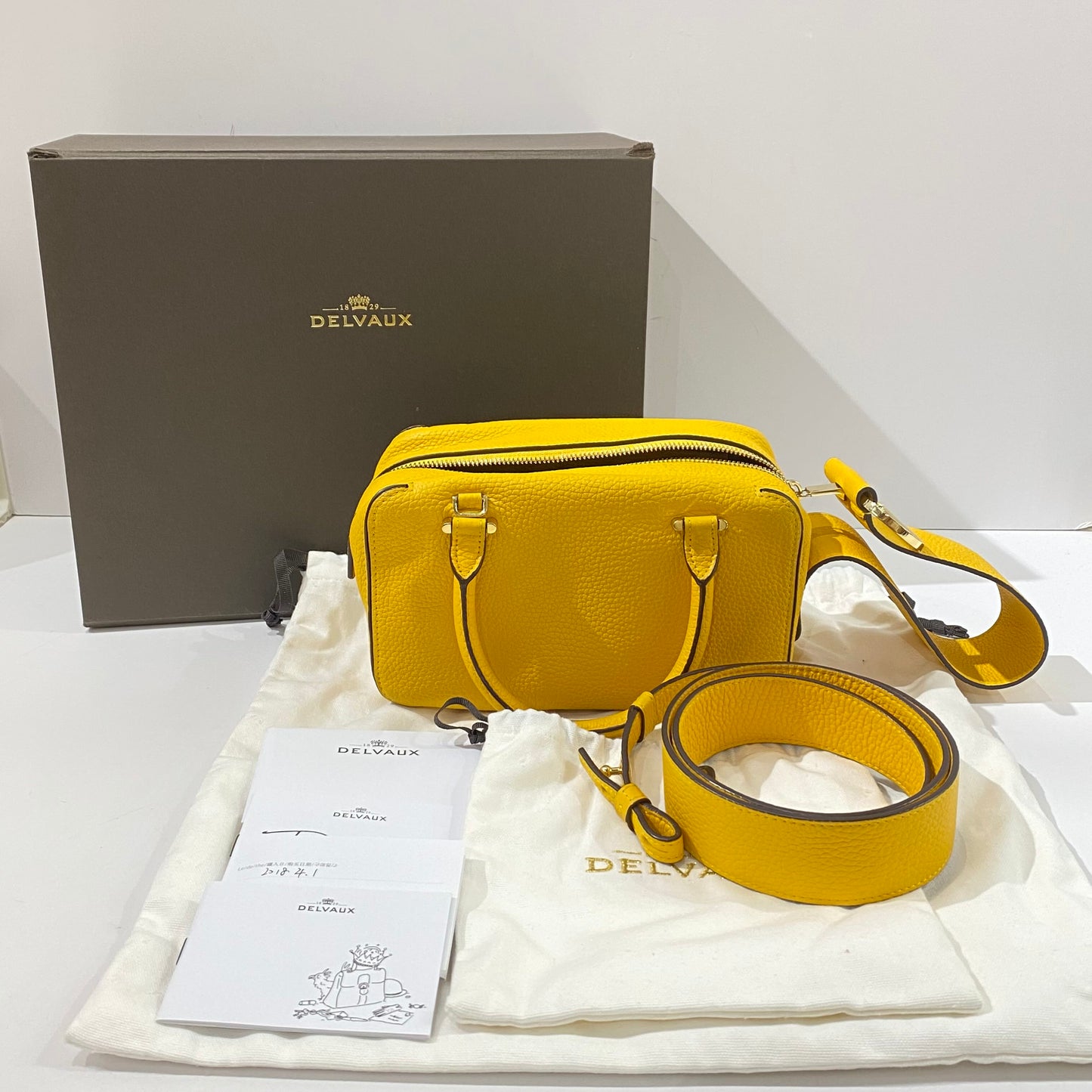 Delvaux - Cool Box - Grained leather - Yellow - (Mini)