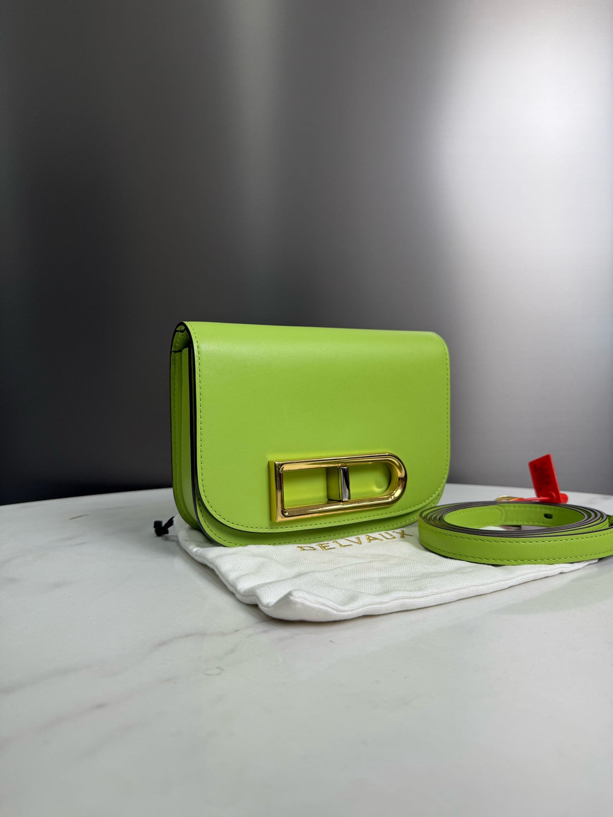 Delvaux - Pin Mini - Leather - Green - (small)