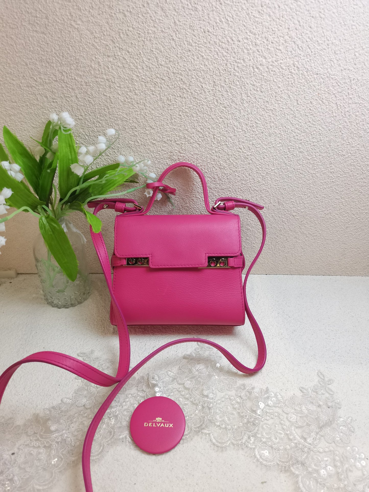 Delvaux - Tempete - Leather - Pink - (mini)