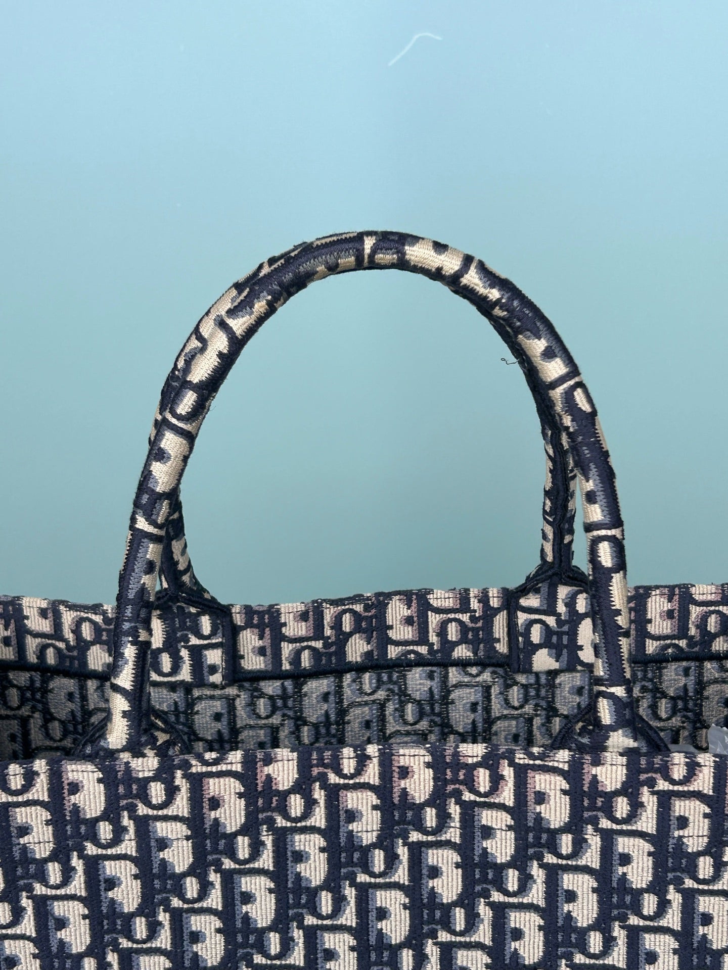 Dior - Book Tote - Cloth - Blue - (large)