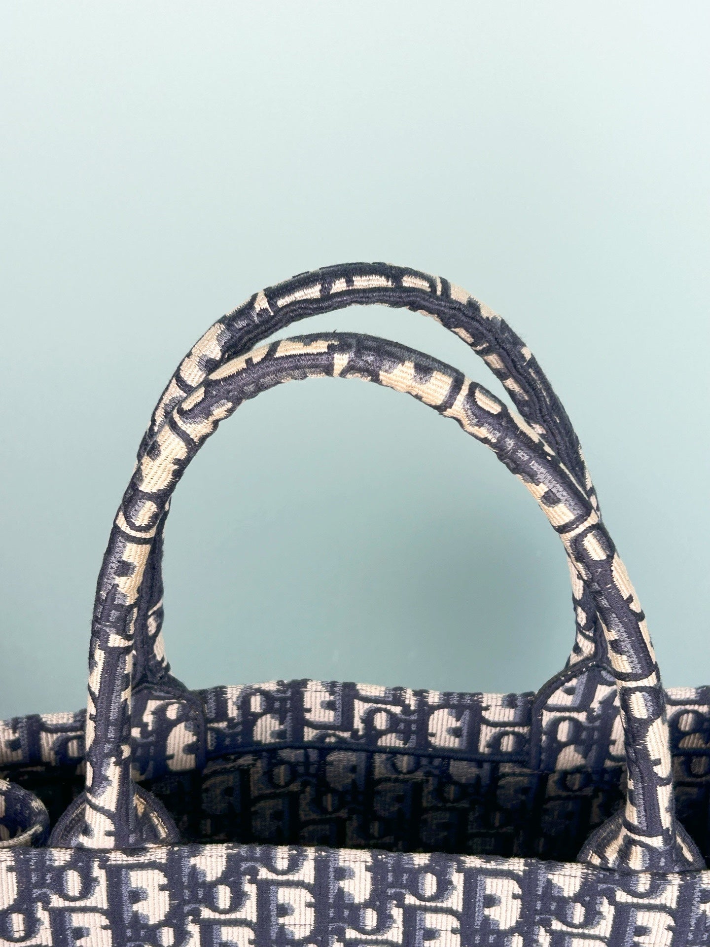 Dior - Book Tote - Cloth - Blue - (medium)