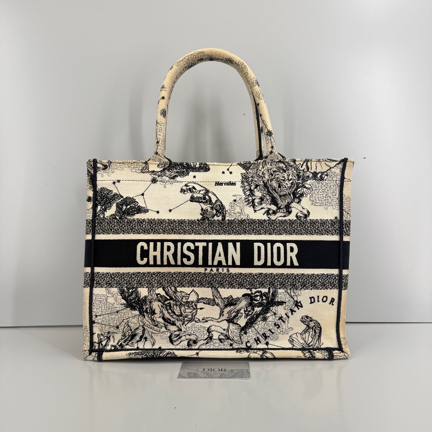 Dior - Book Tote - Cloth - Multicolour - (medium)