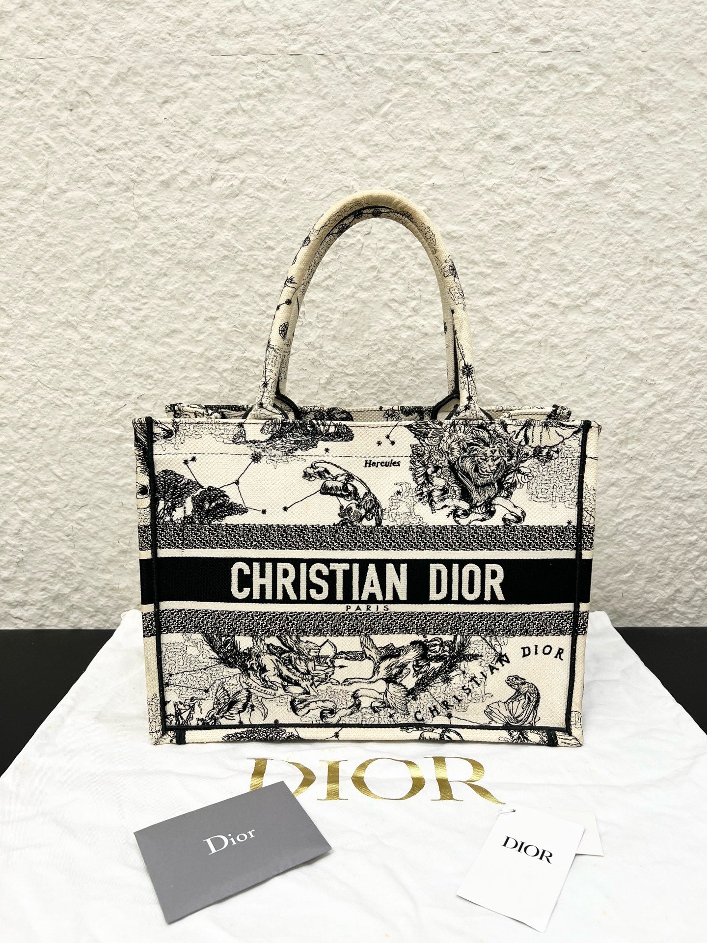 Dior - Book Tote - Cloth - Multicolour - (medium)