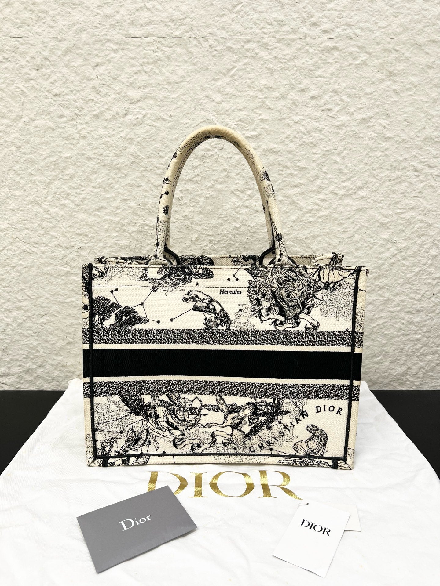 Dior - Book Tote - Cloth - Multicolour - (medium)