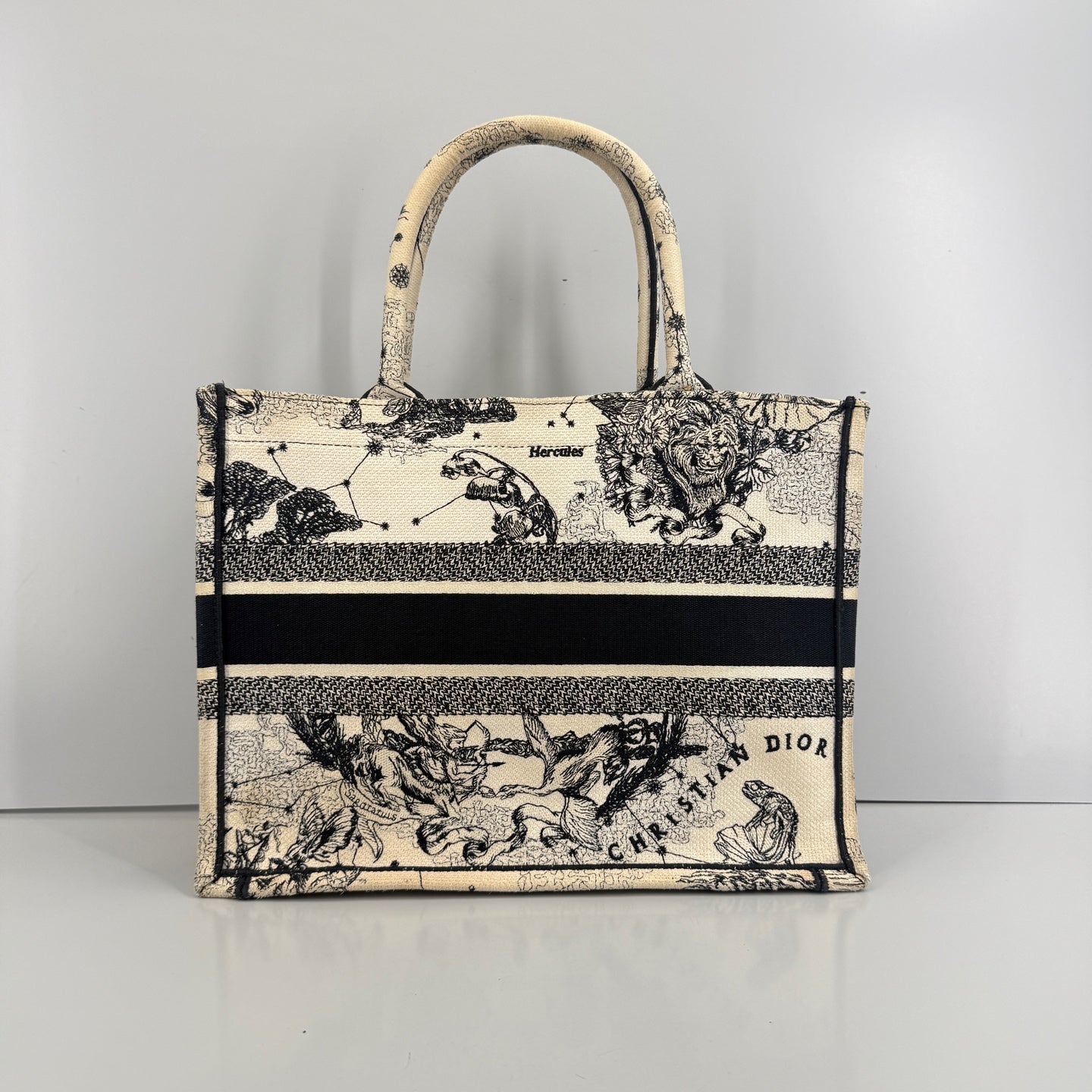 Dior - Book Tote - Cloth - Multicolour - (medium)