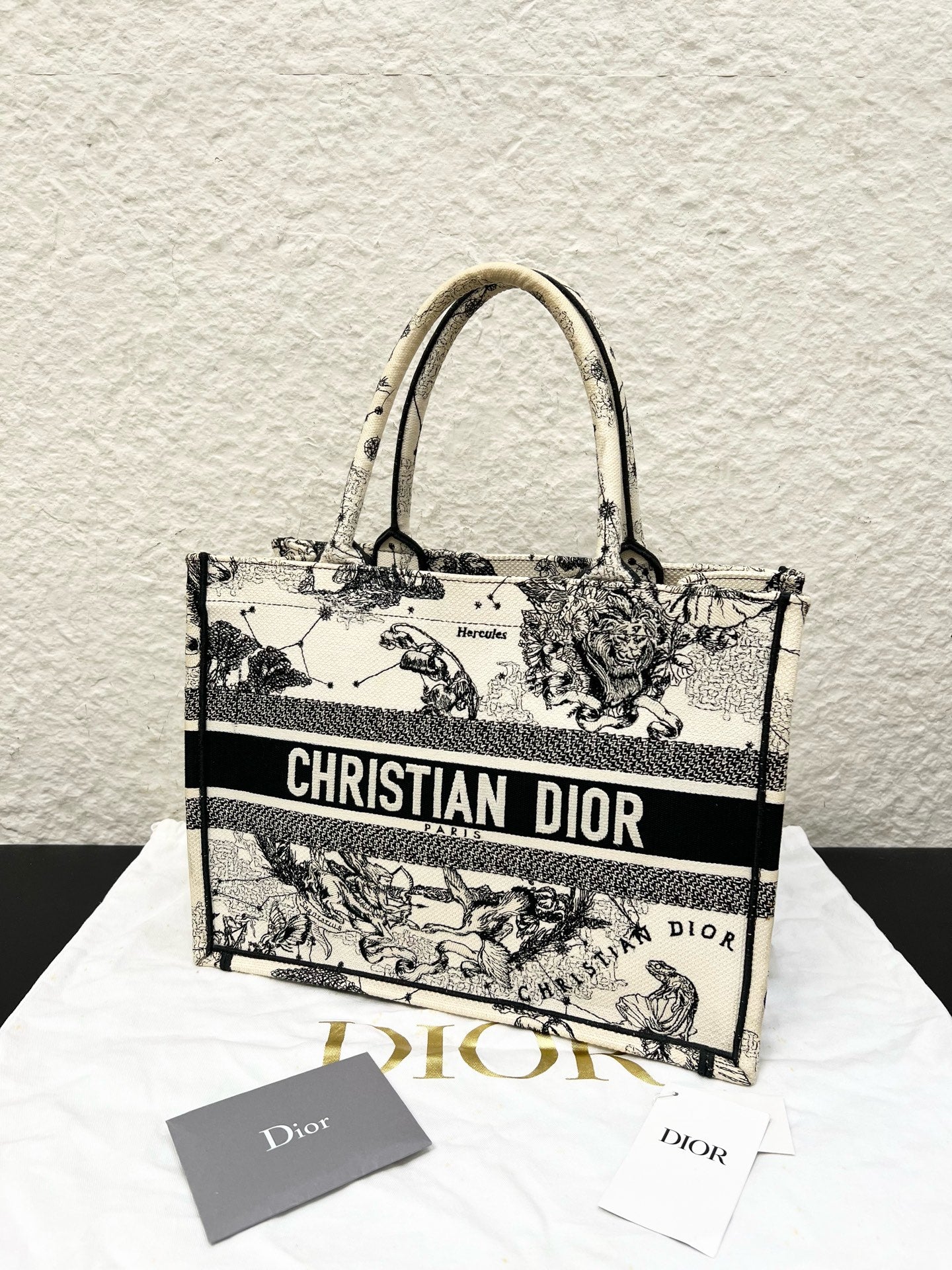 Dior - Book Tote - Cloth - Multicolour - (medium)