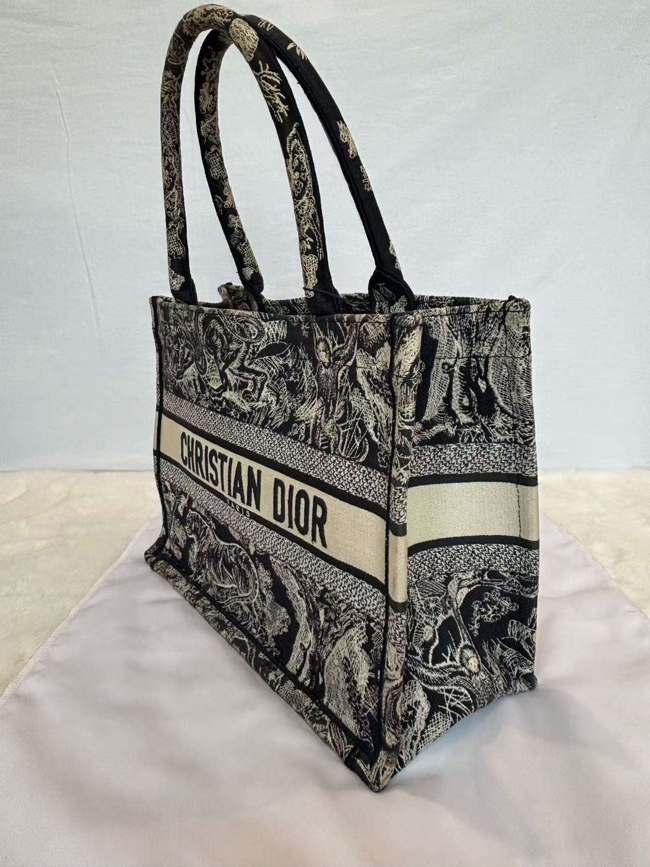 Dior - Book Tote - Embroidered canvas - Blue and Beige - (Small)