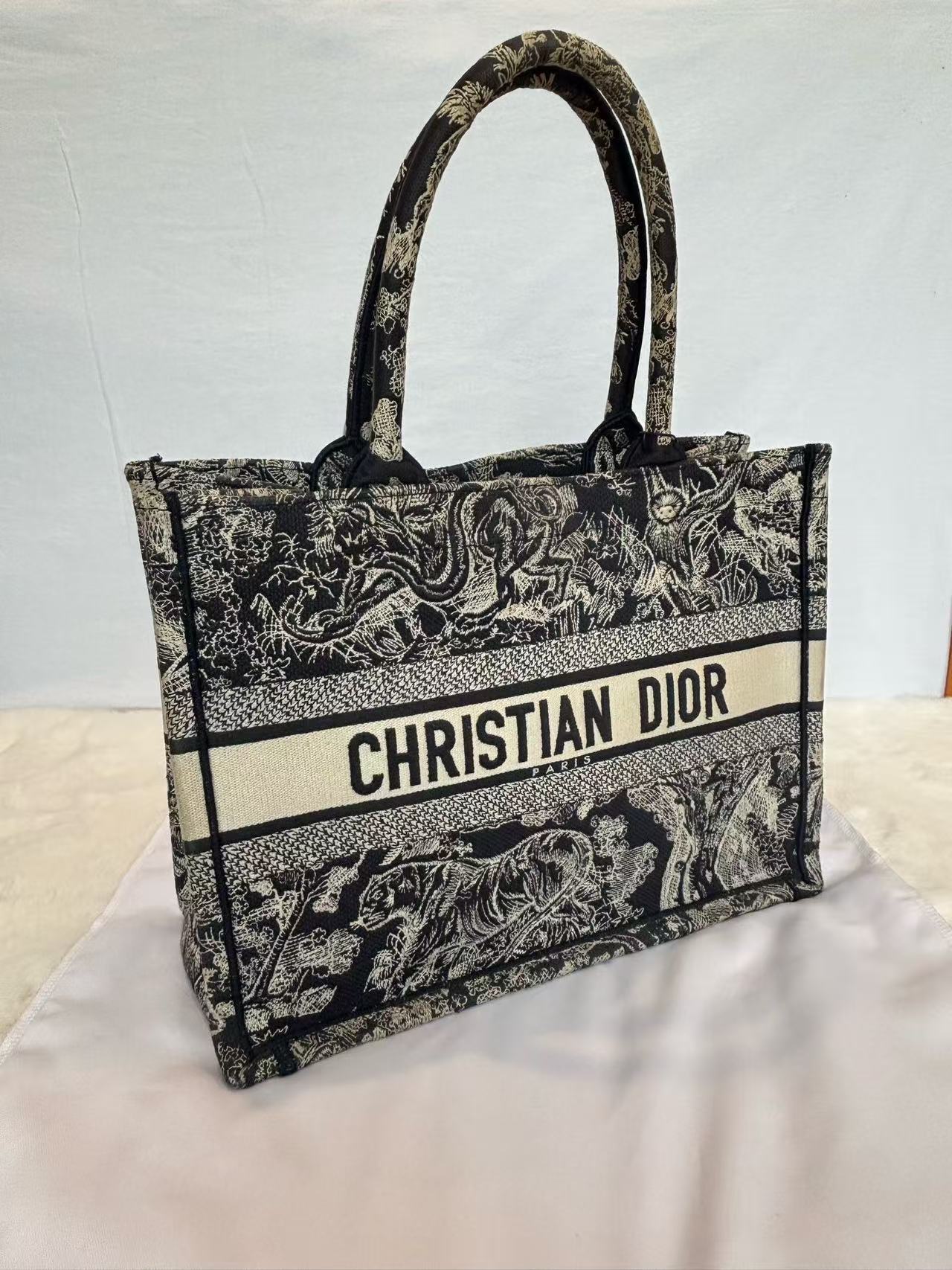 Dior - Book Tote - Embroidered canvas - Blue and Beige - (Small)
