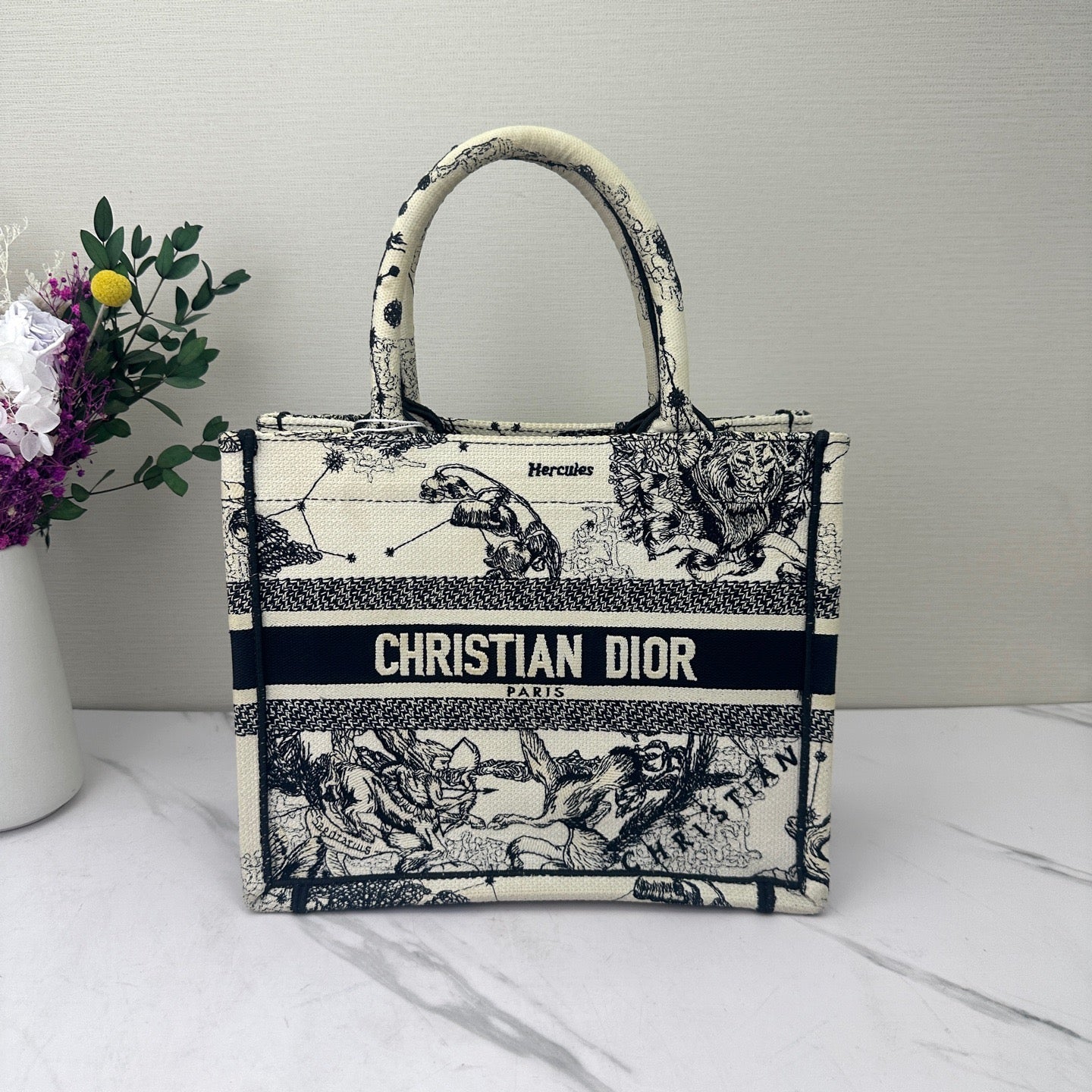 Dior - Book Tote Zodiac Embroidery Small - Embroidered canvas - Multicolour - (small)