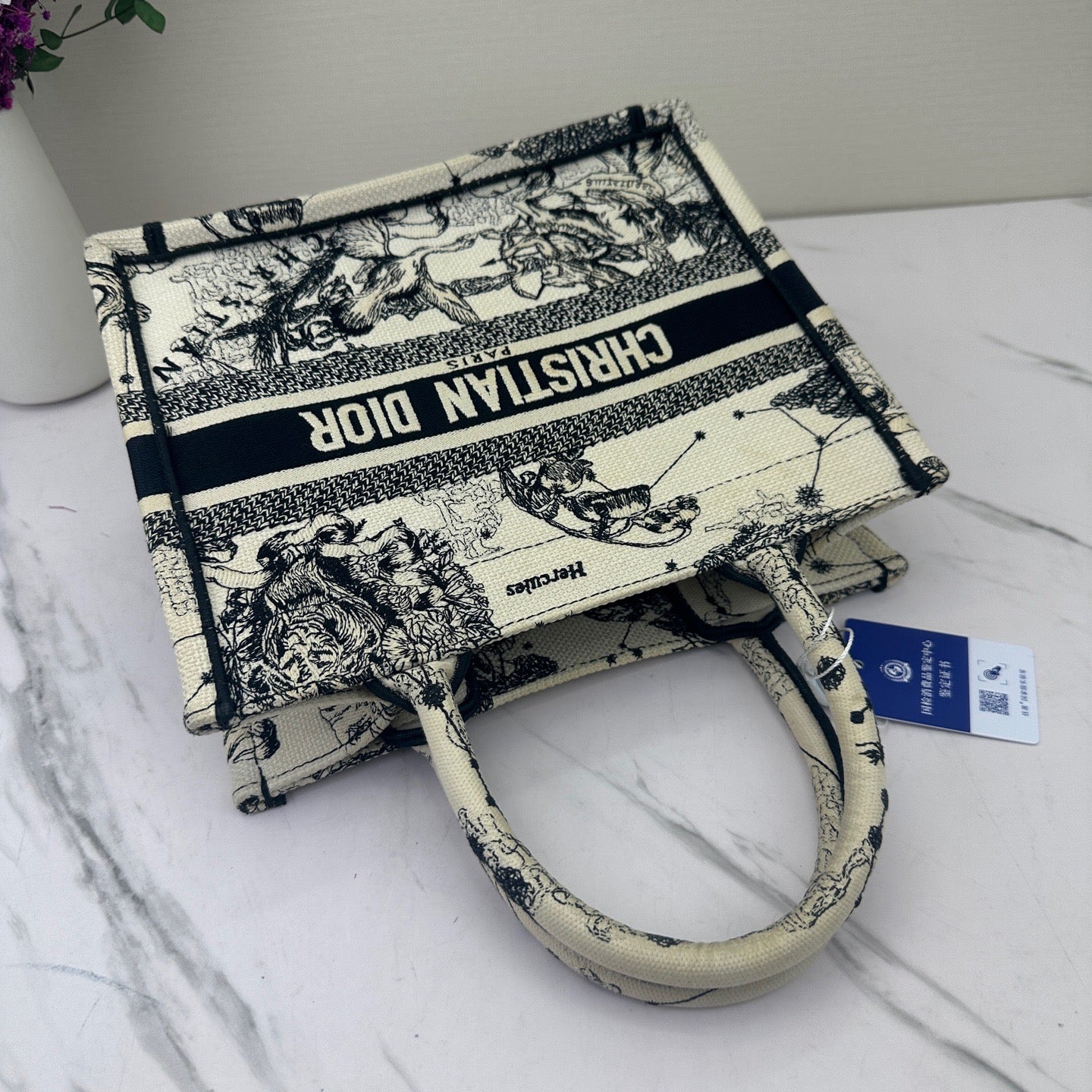 Dior - Book Tote Zodiac Embroidery Small - Embroidered canvas - Multicolour - (small)
