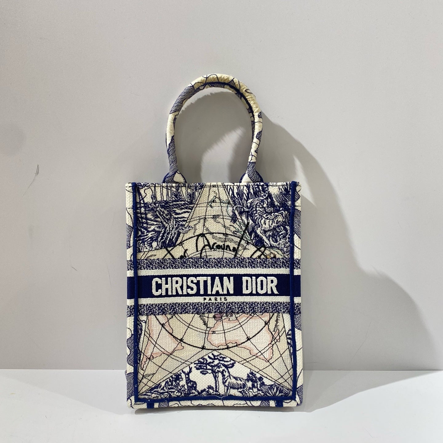 Dior - Constellation Compass Vertical Embroidery Tote Bag - Cloth - Multicolour - (small)