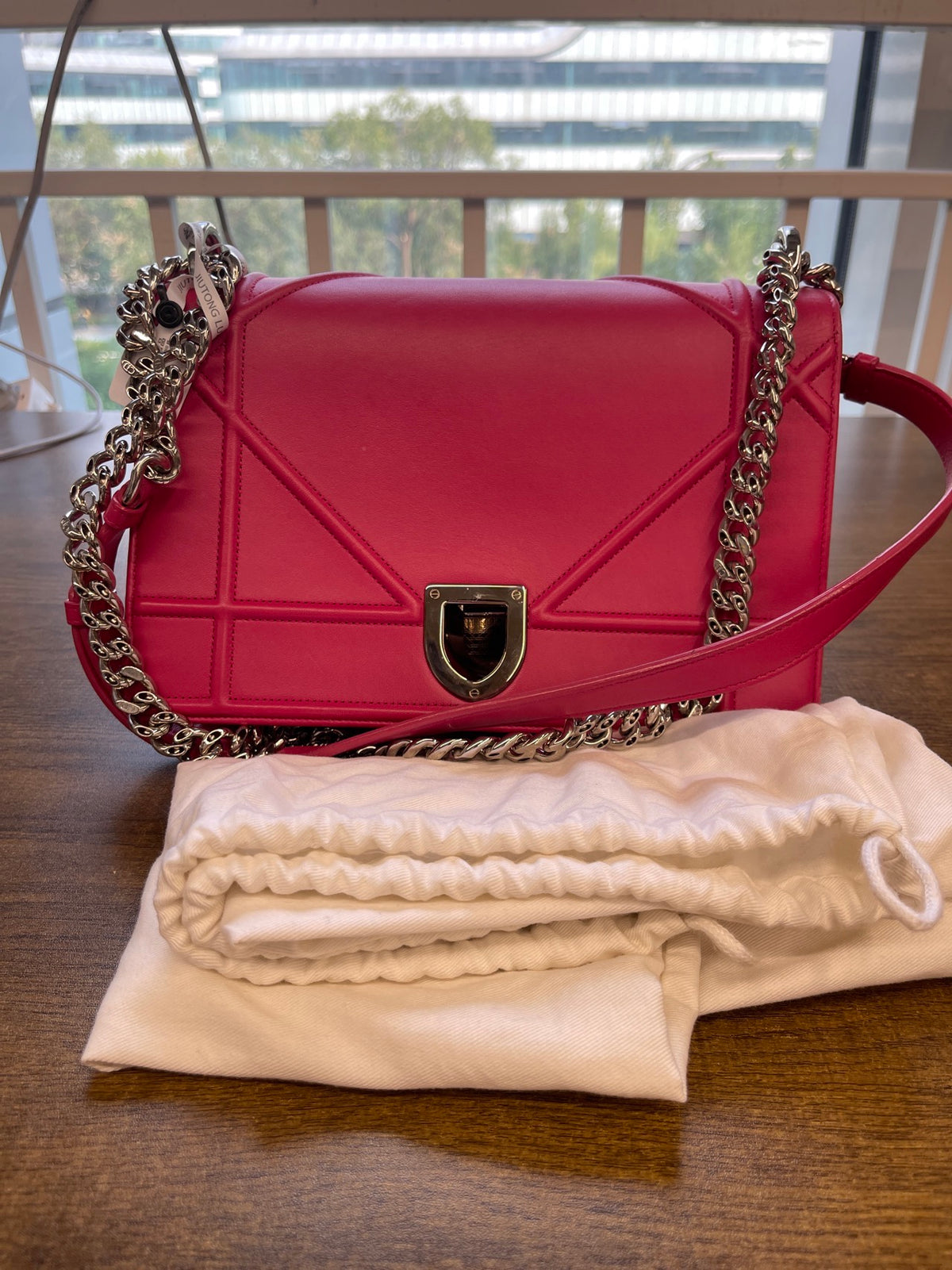 Dior - Diorama - Leather - Pink