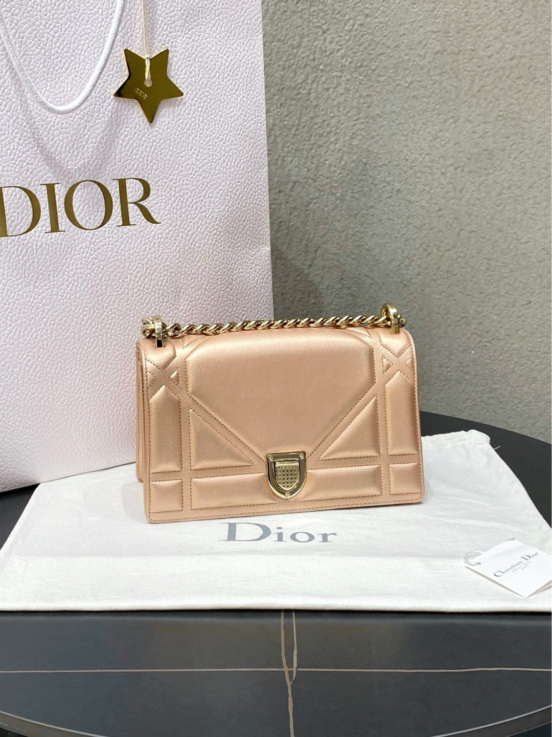 Dior - Diorama Small - Leather - Pink - (Small)
