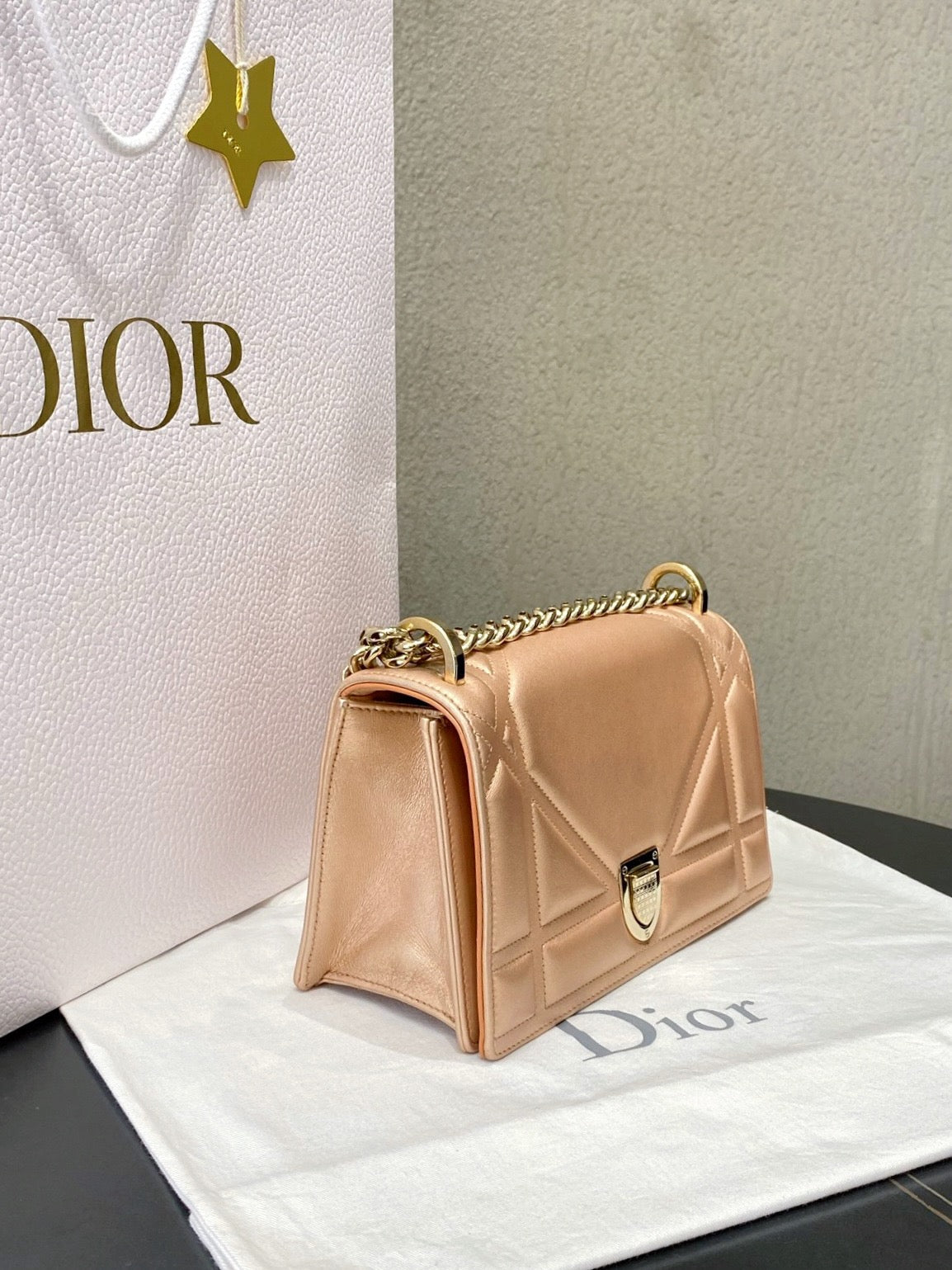 Dior - Diorama Small - Leather - Pink - (Small)