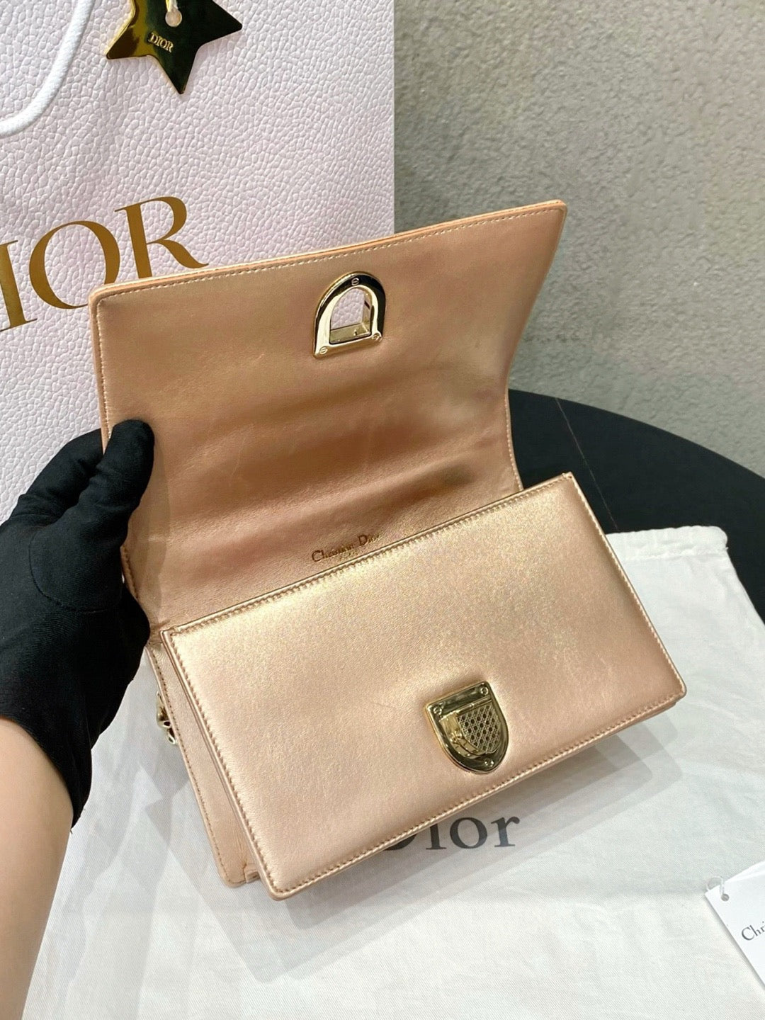 Dior - Diorama Small - Leather - Pink - (Small)
