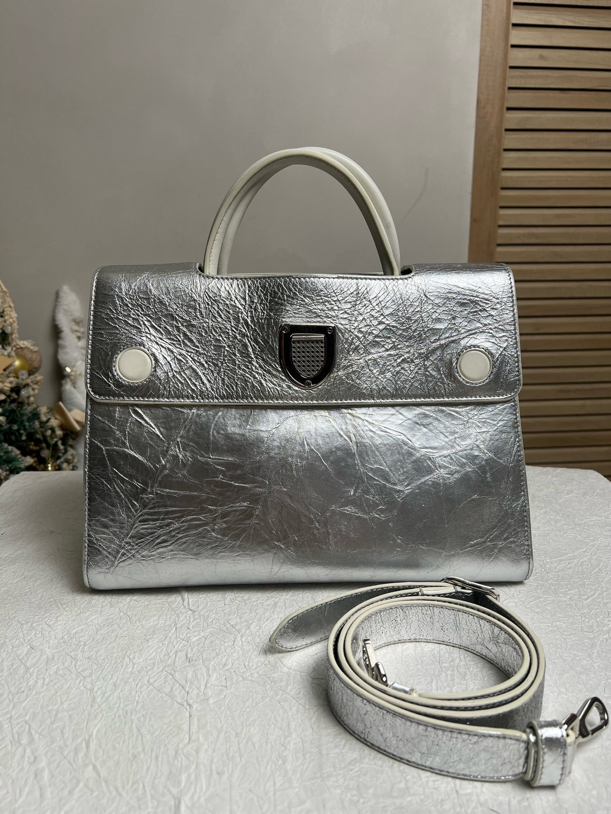 Dior - Diorever - Leather - Silver