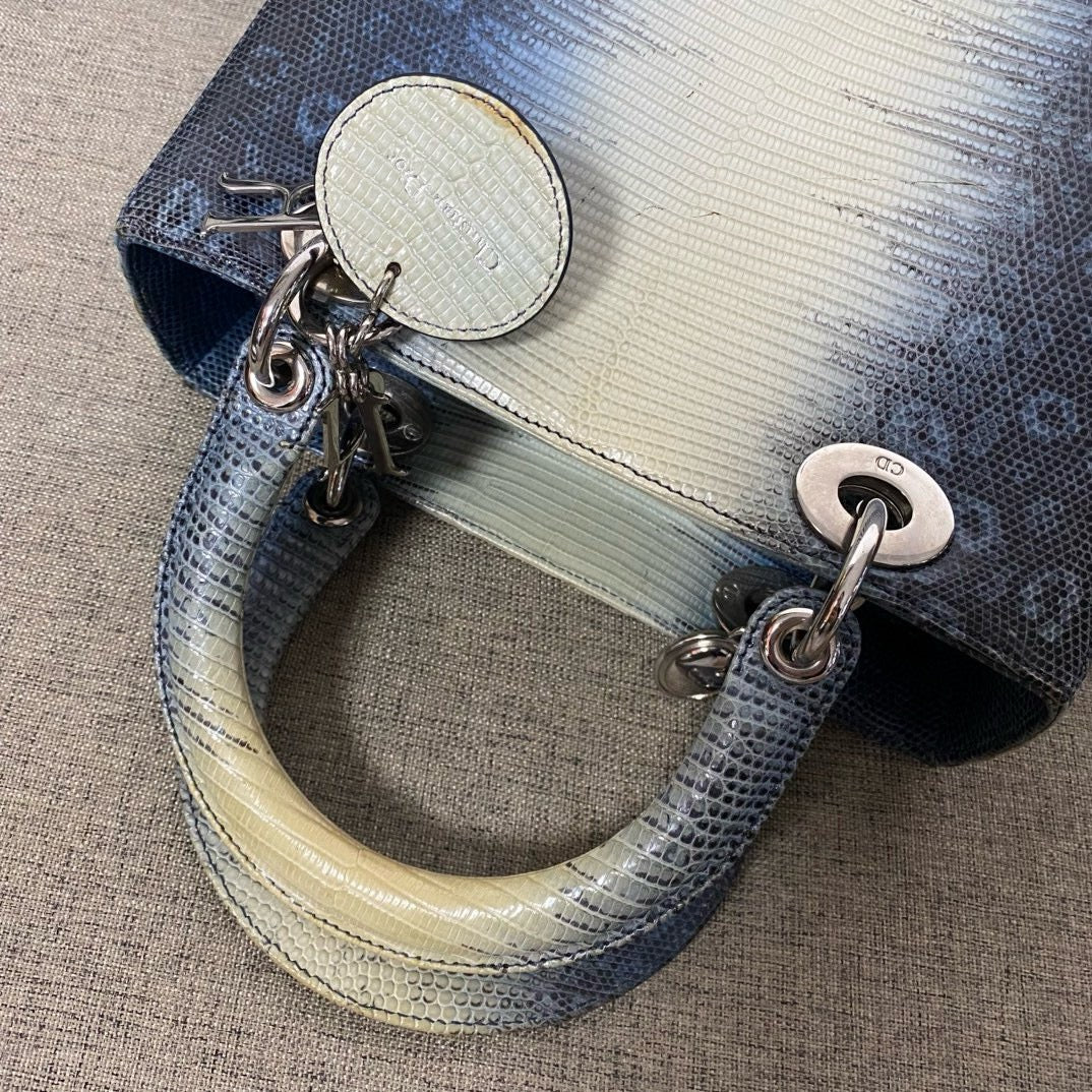 Dior - Lady Dior - Lizard - Multicolour - (medium)