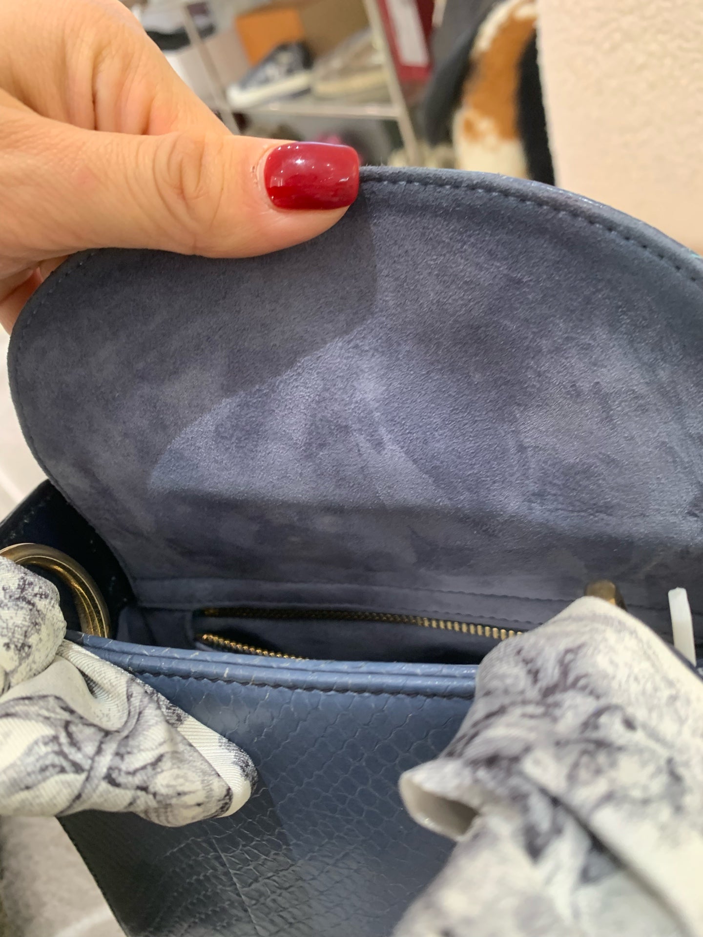 Dior - Lady Dior - Python skin - Gradient Blue - (Mini)